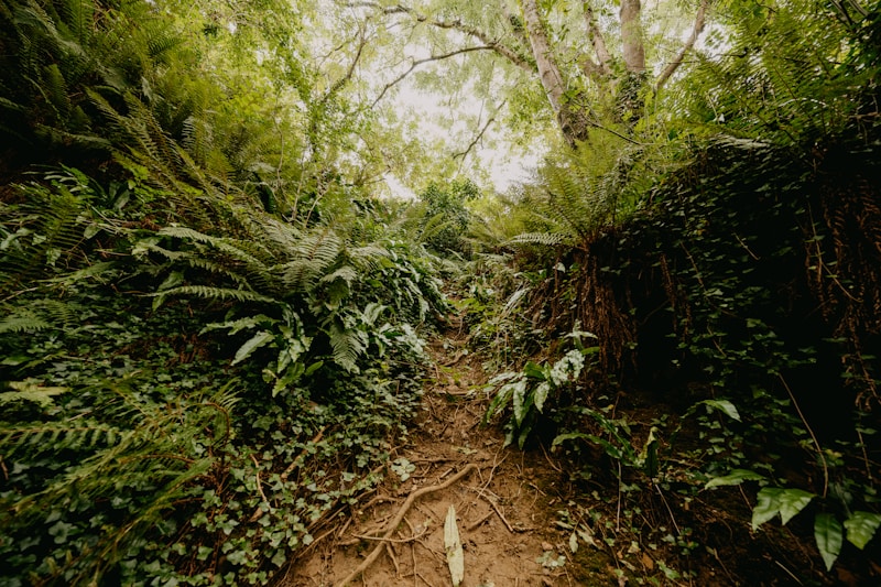 Photo of The Lower Third