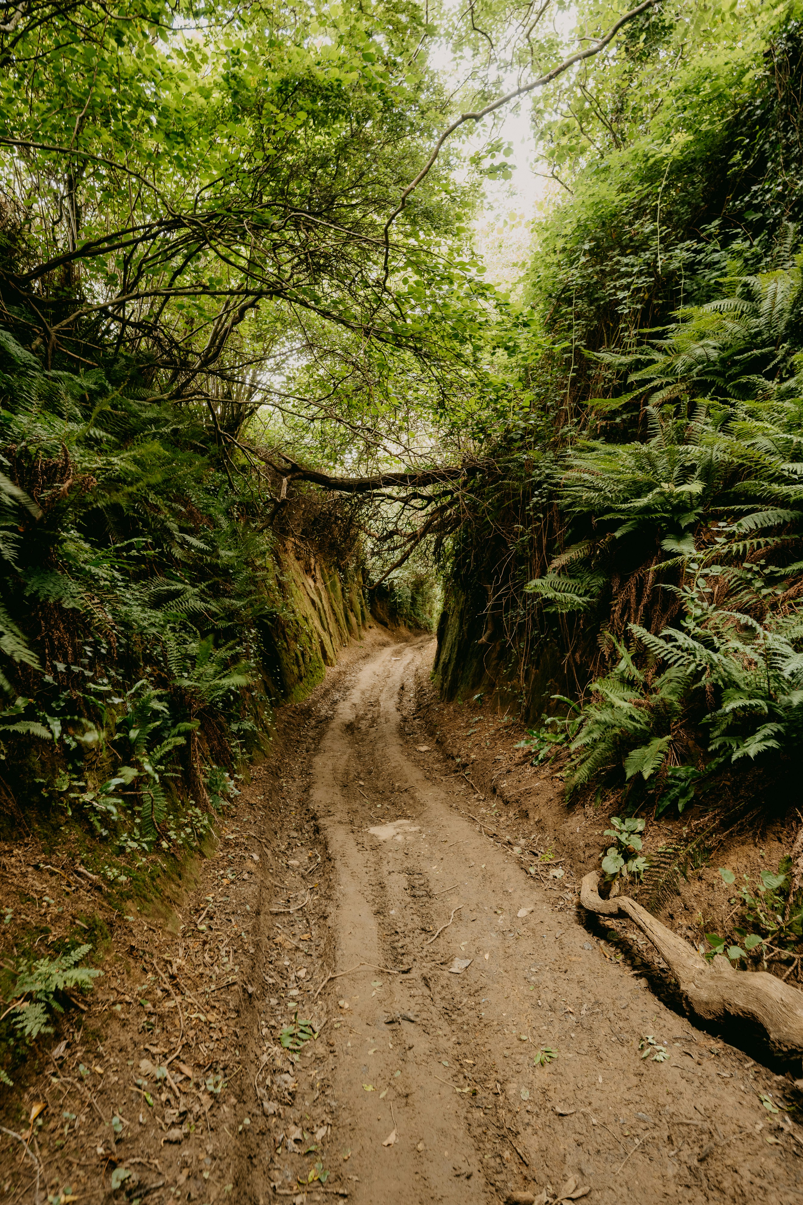 Photo by anniespratt