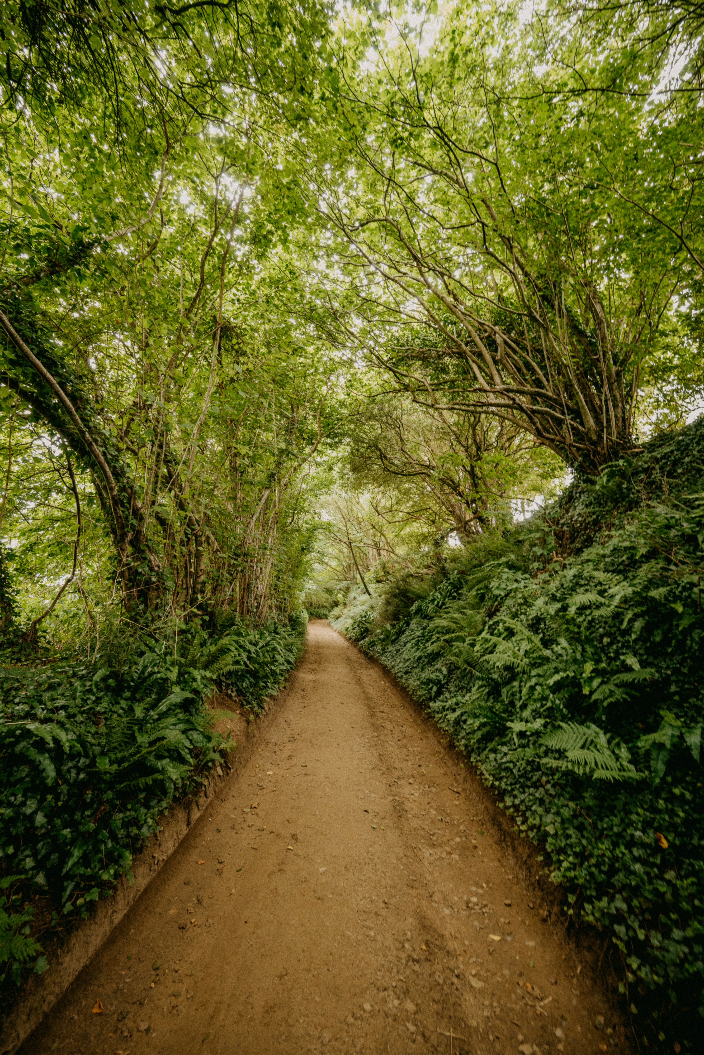 Photo by anniespratt