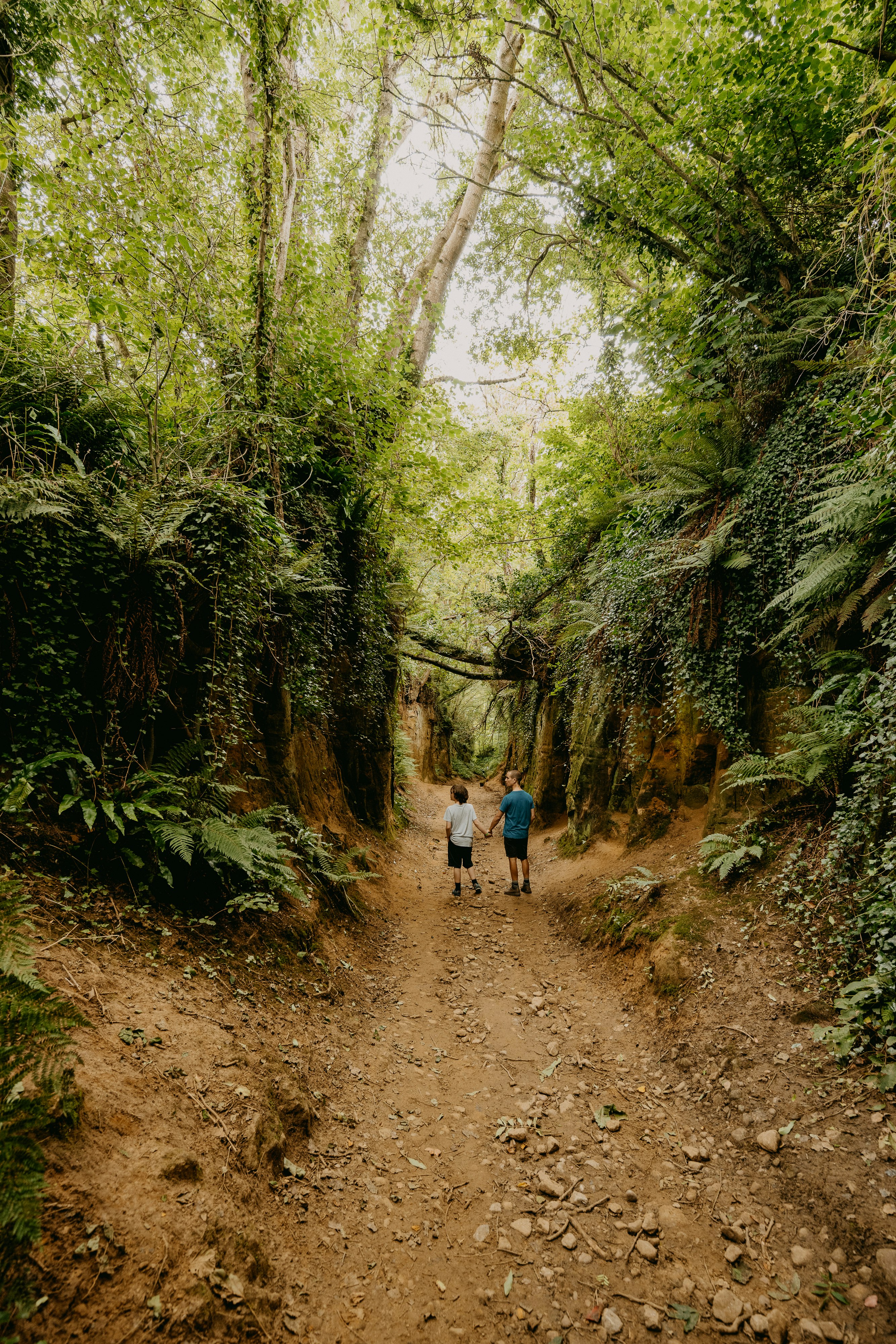 2 person walking on dirt road between green trees during daytime