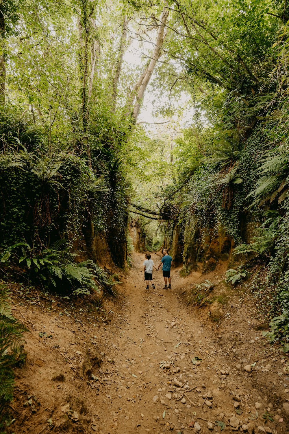 2 person walking on dirt road between green trees during daytime