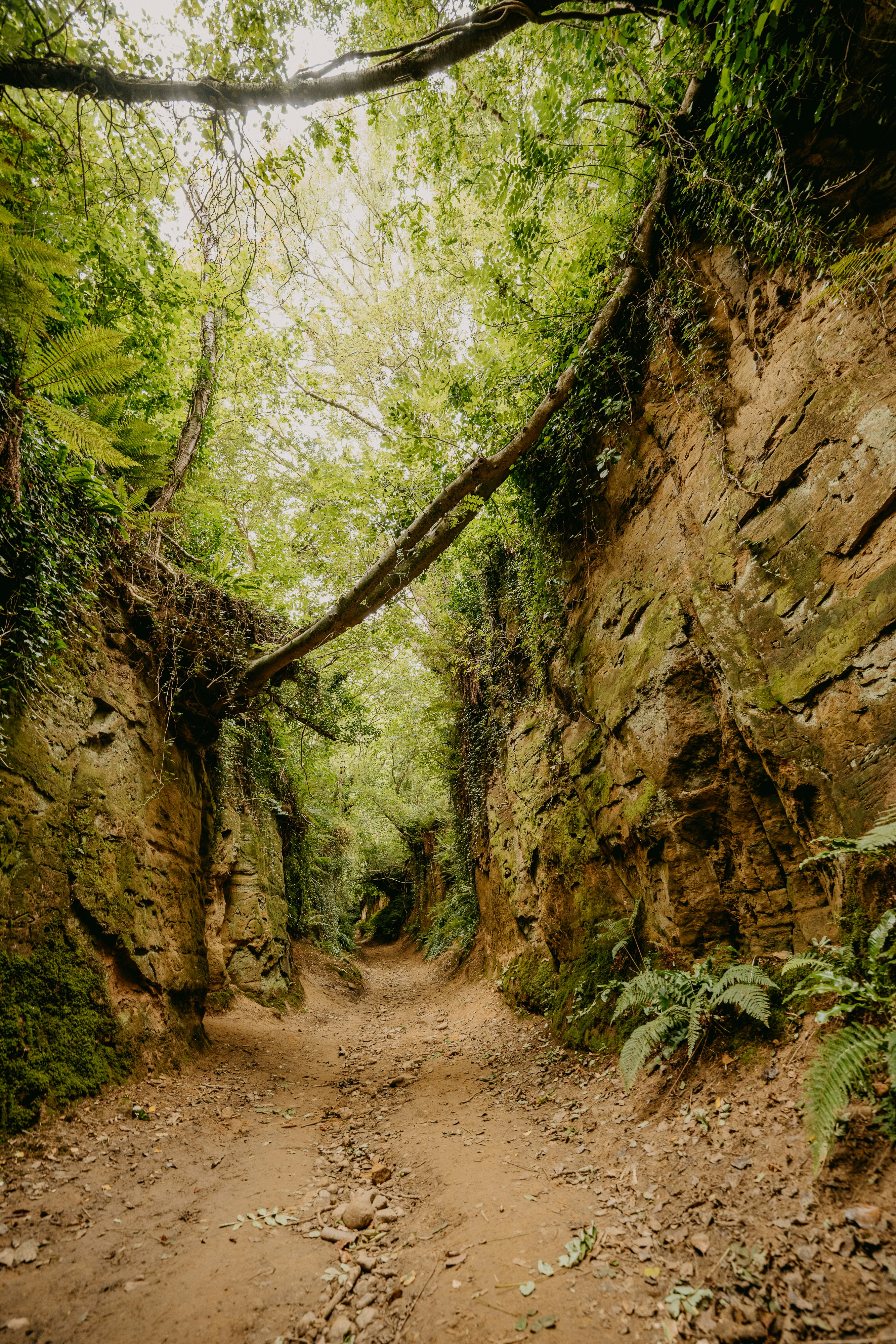 brown dirt road between brown and green rock formation during daytime