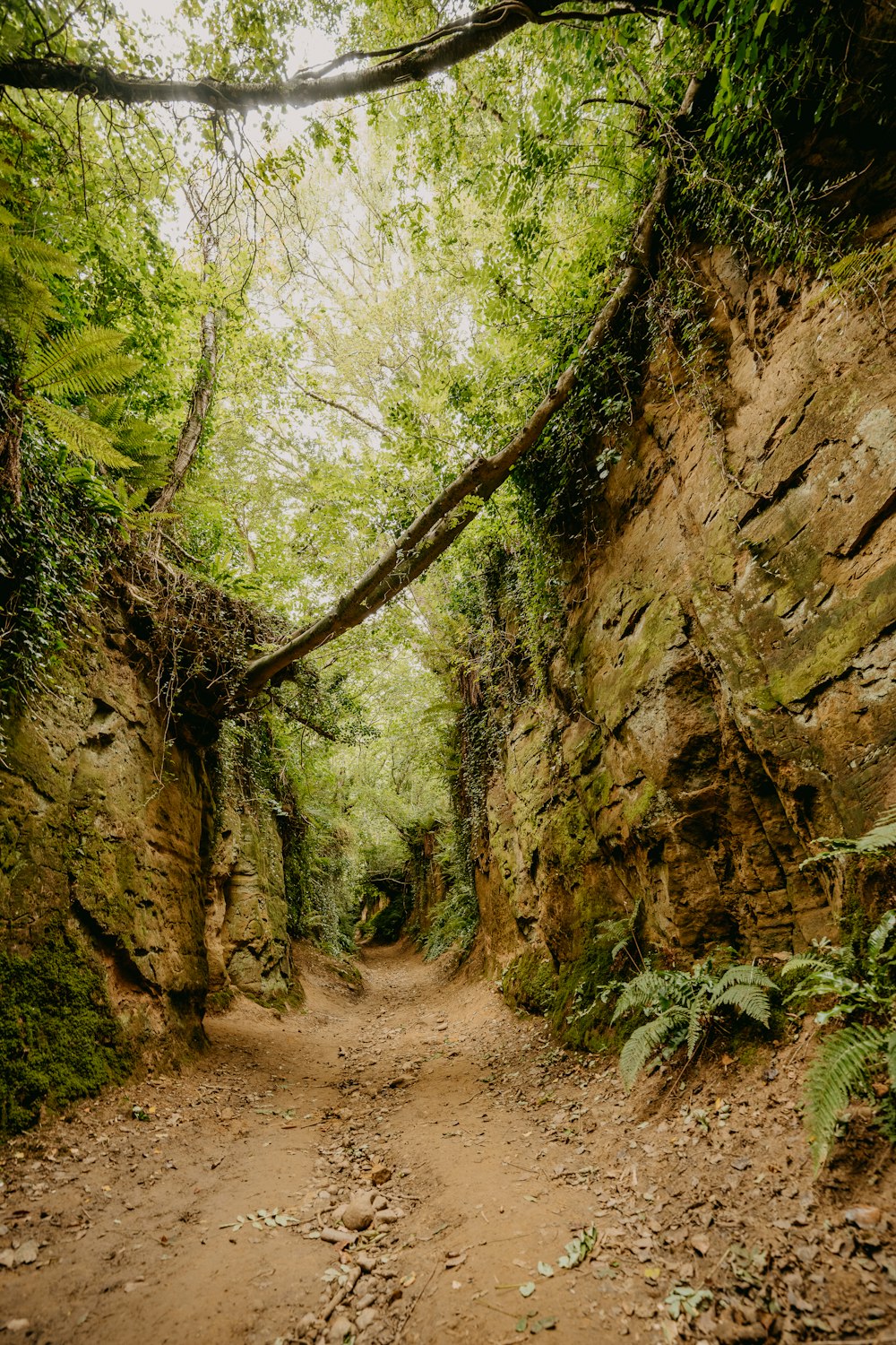 brown dirt road between brown and green rock formation during daytime