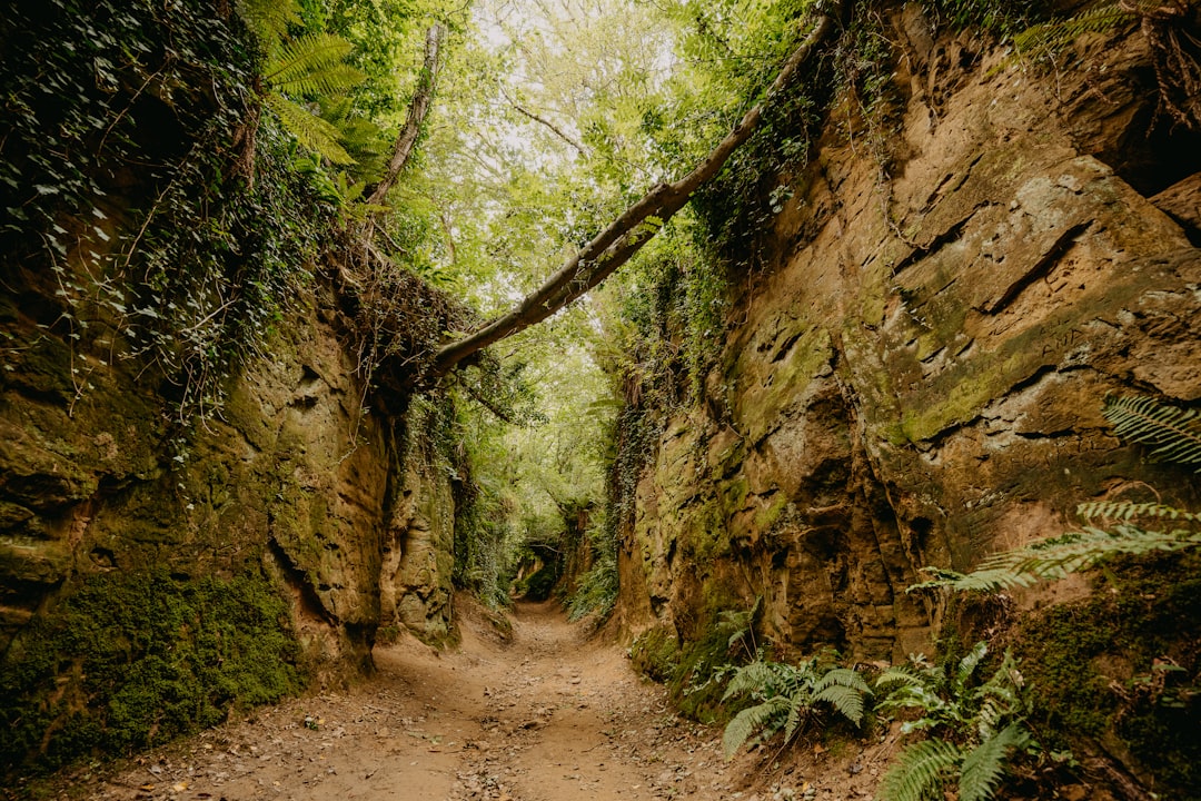 brown dirt road between brown and green rock formation during daytime