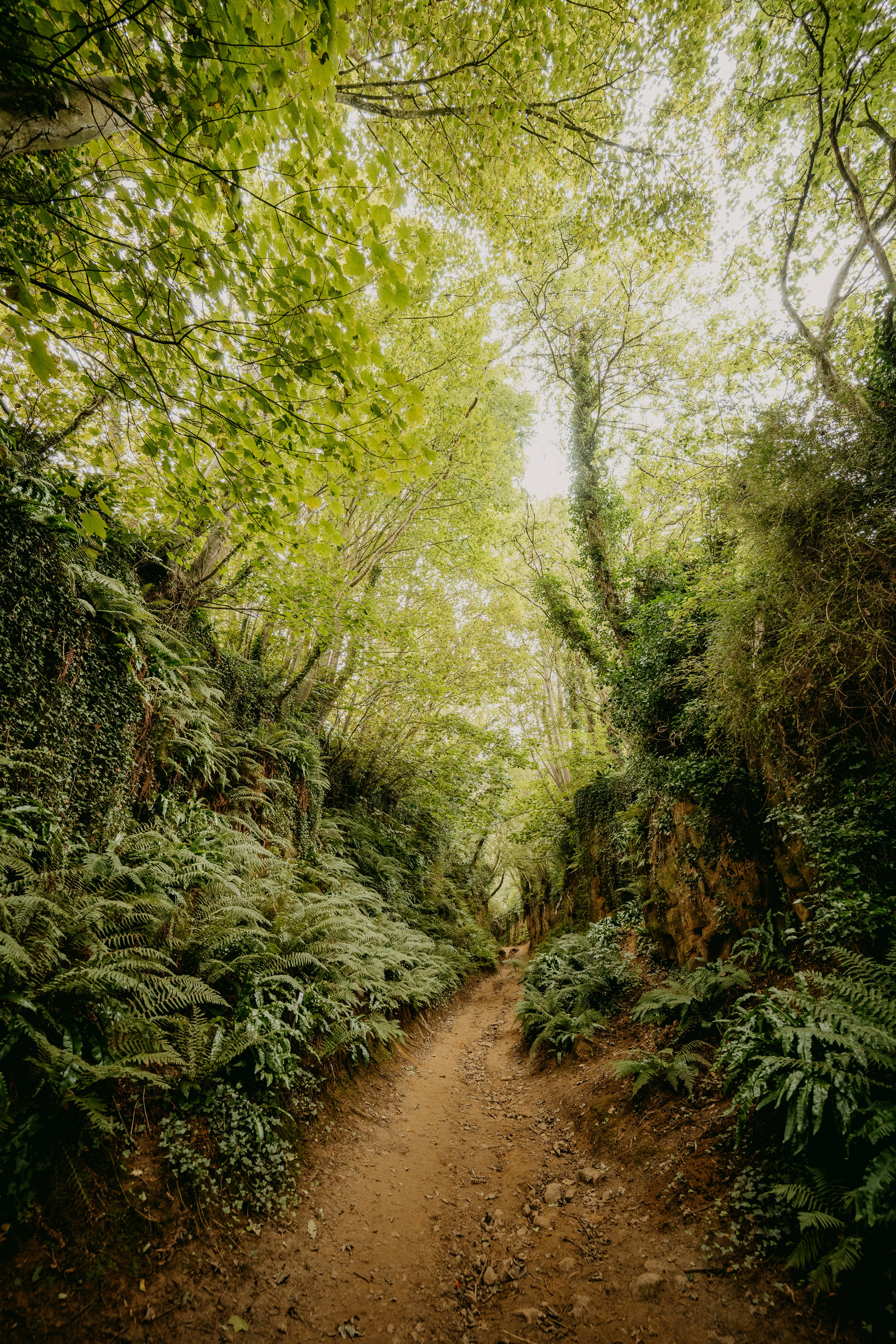 Photo by anniespratt