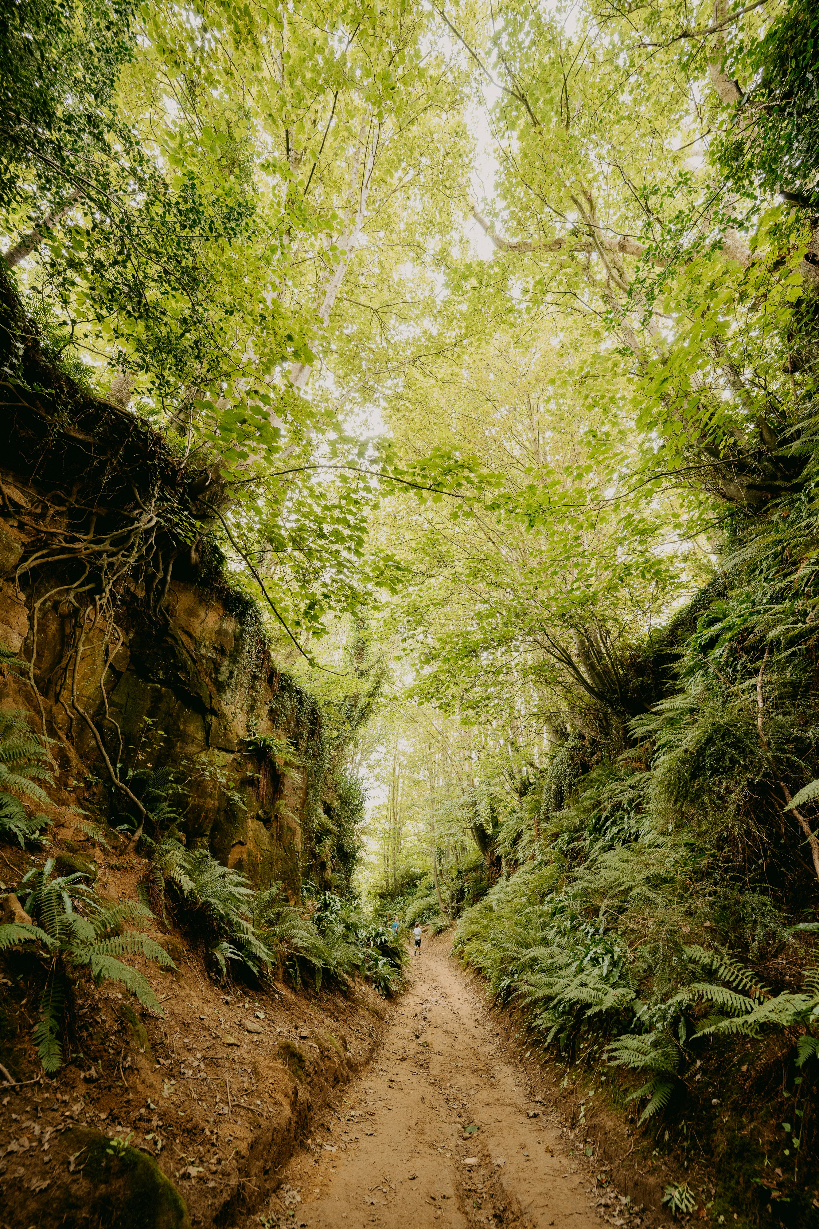 Photo by anniespratt