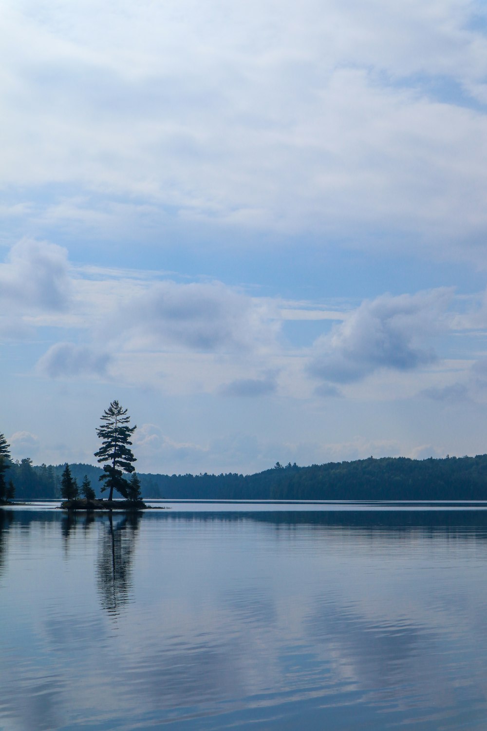 alberi verdi accanto allo specchio d'acqua sotto le nuvole bianche ed il cielo blu durante il giorno