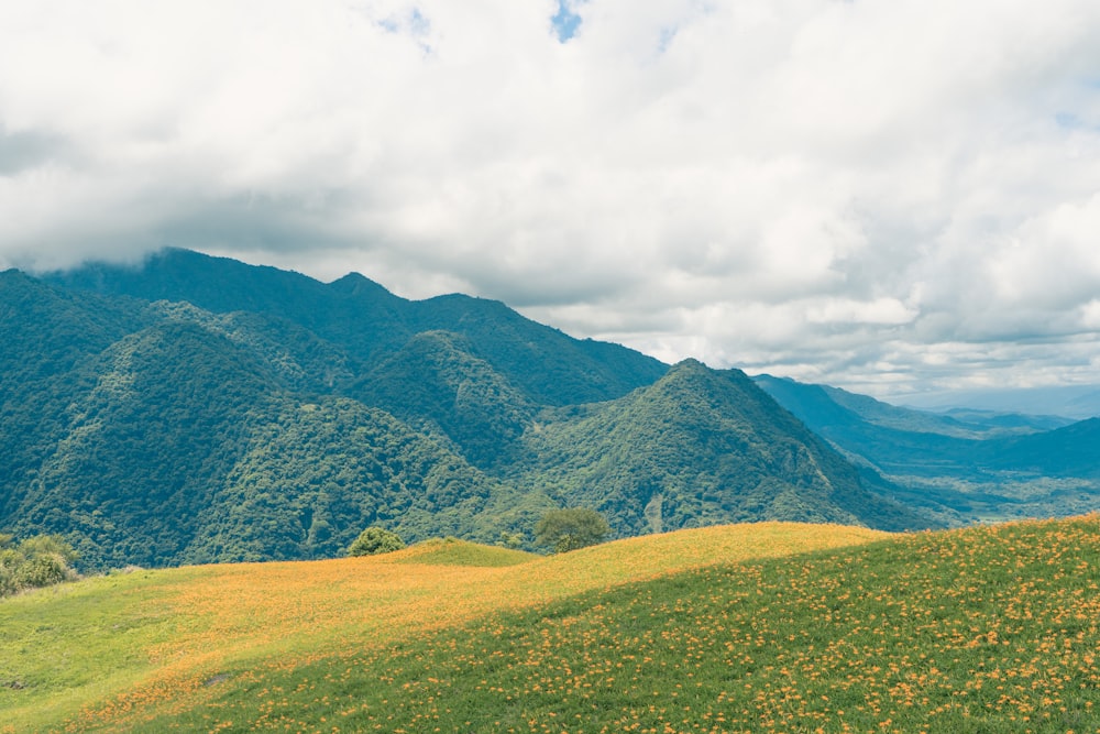 green grass field and mountain under white clouds