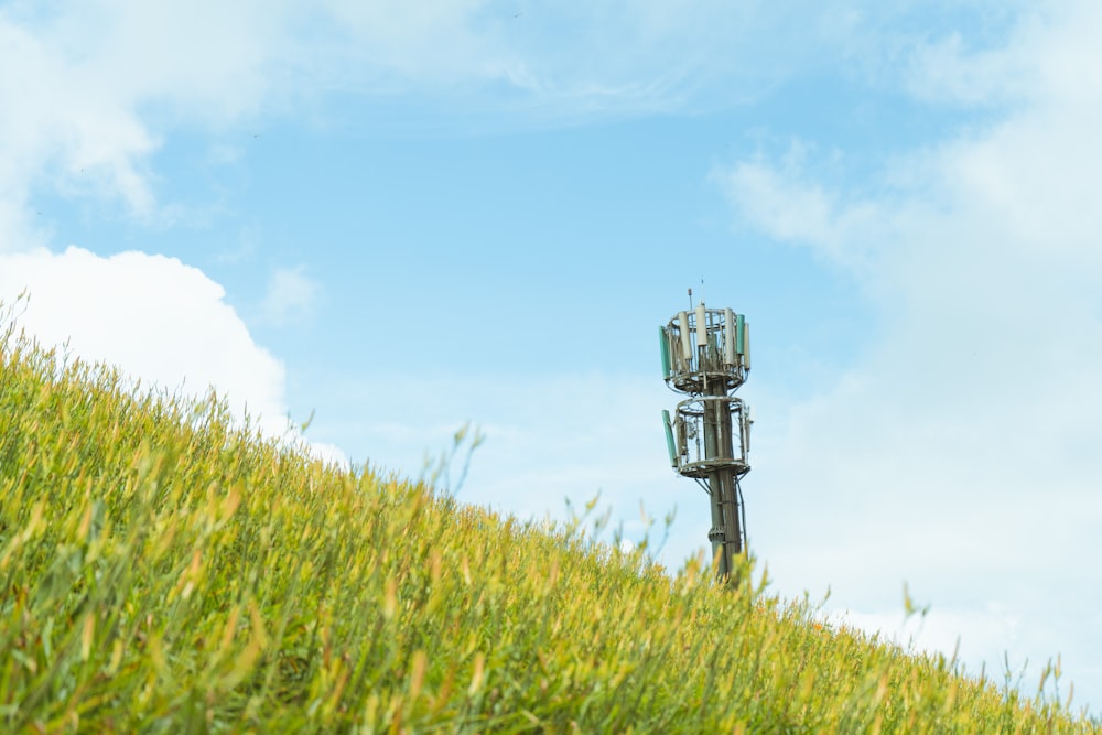 green grass field under blue sky during daytime