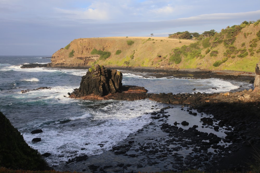 formazione rocciosa marrone e verde sulla riva del mare durante il giorno