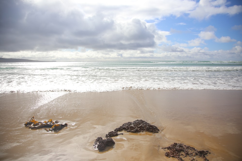 black rocks on seashore during daytime