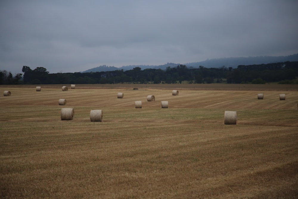 brown hays on brown field under white clouds during daytime