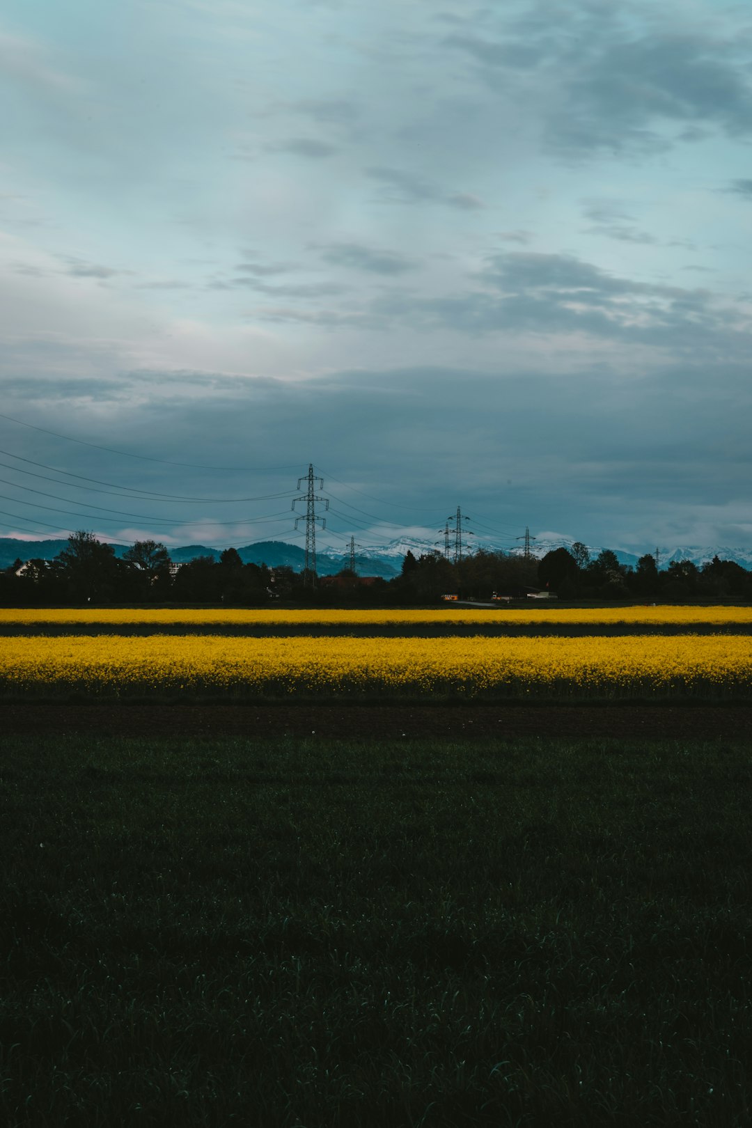 green grass field under cloudy sky during daytime