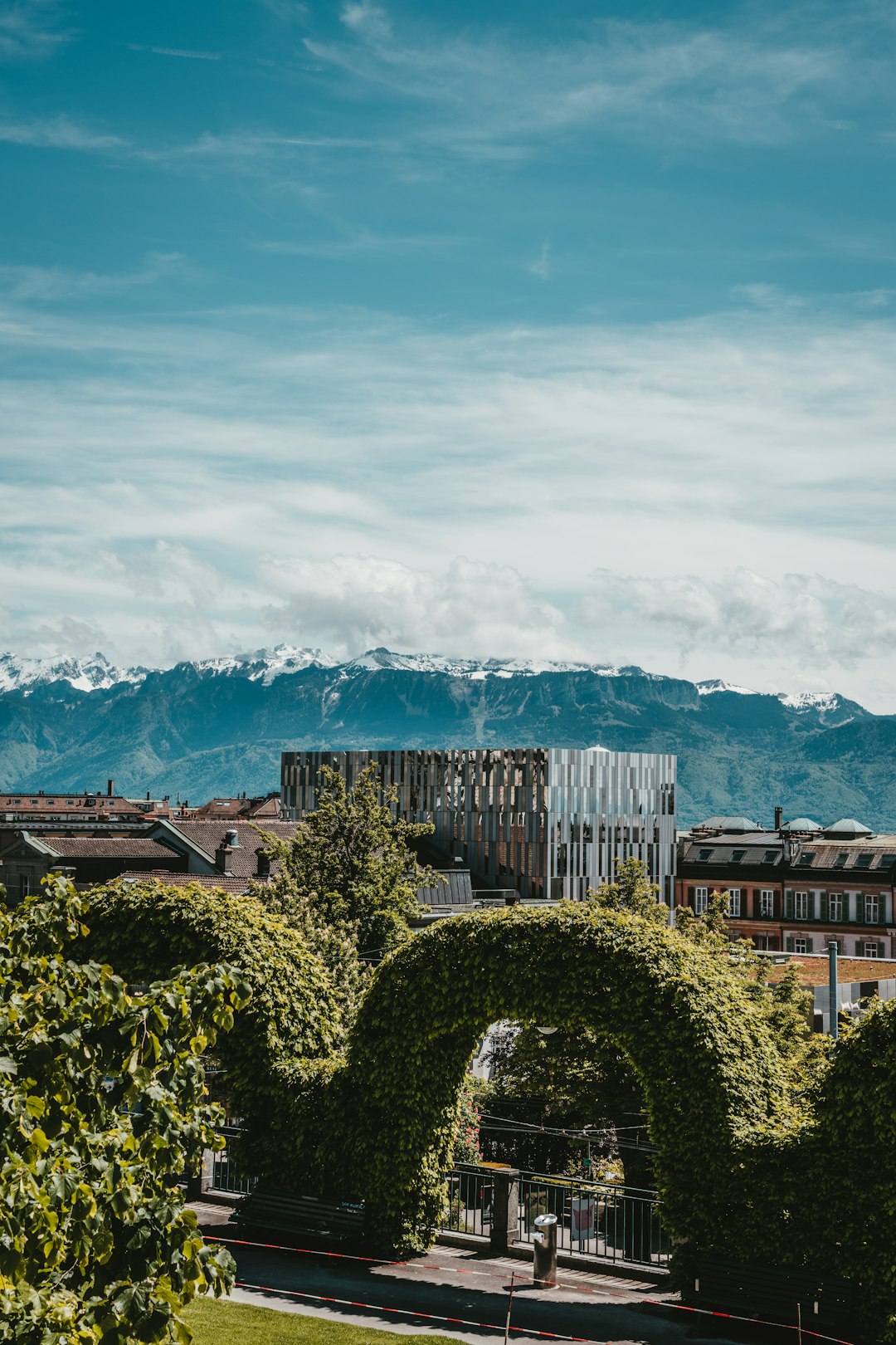 brown wooden fence near green trees under white clouds and blue sky during daytime