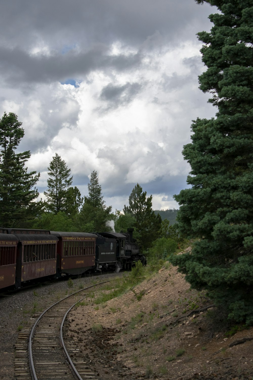 green and brown train on rail tracks near green trees under white clouds during daytime