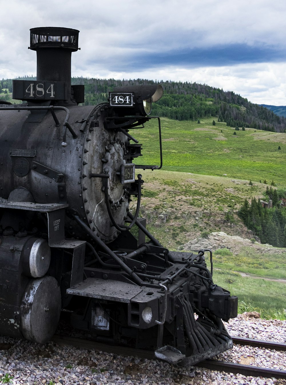 black and brown train on green grass field during daytime