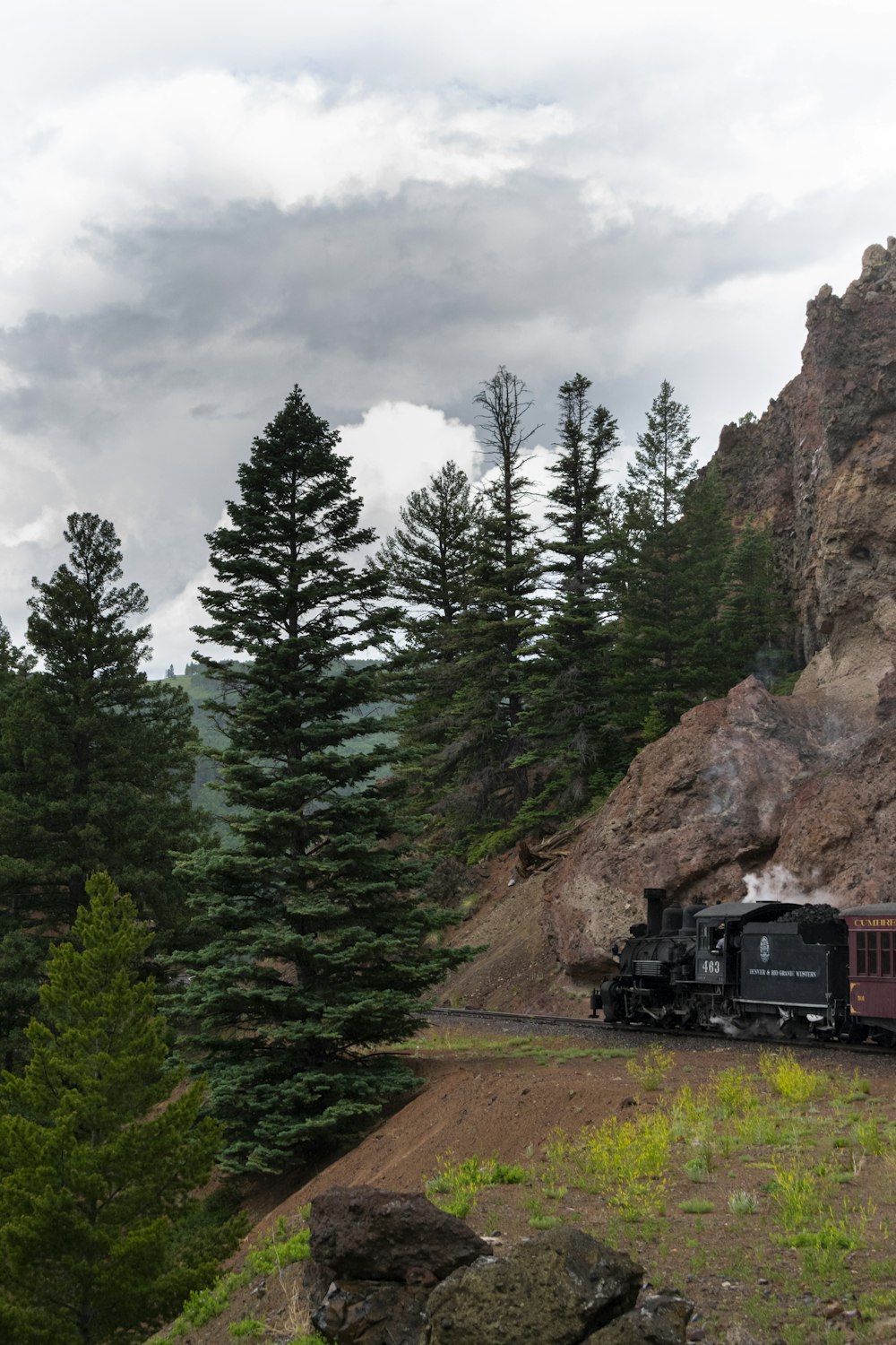 black truck on brown dirt road near green trees under gray cloudy sky during daytime