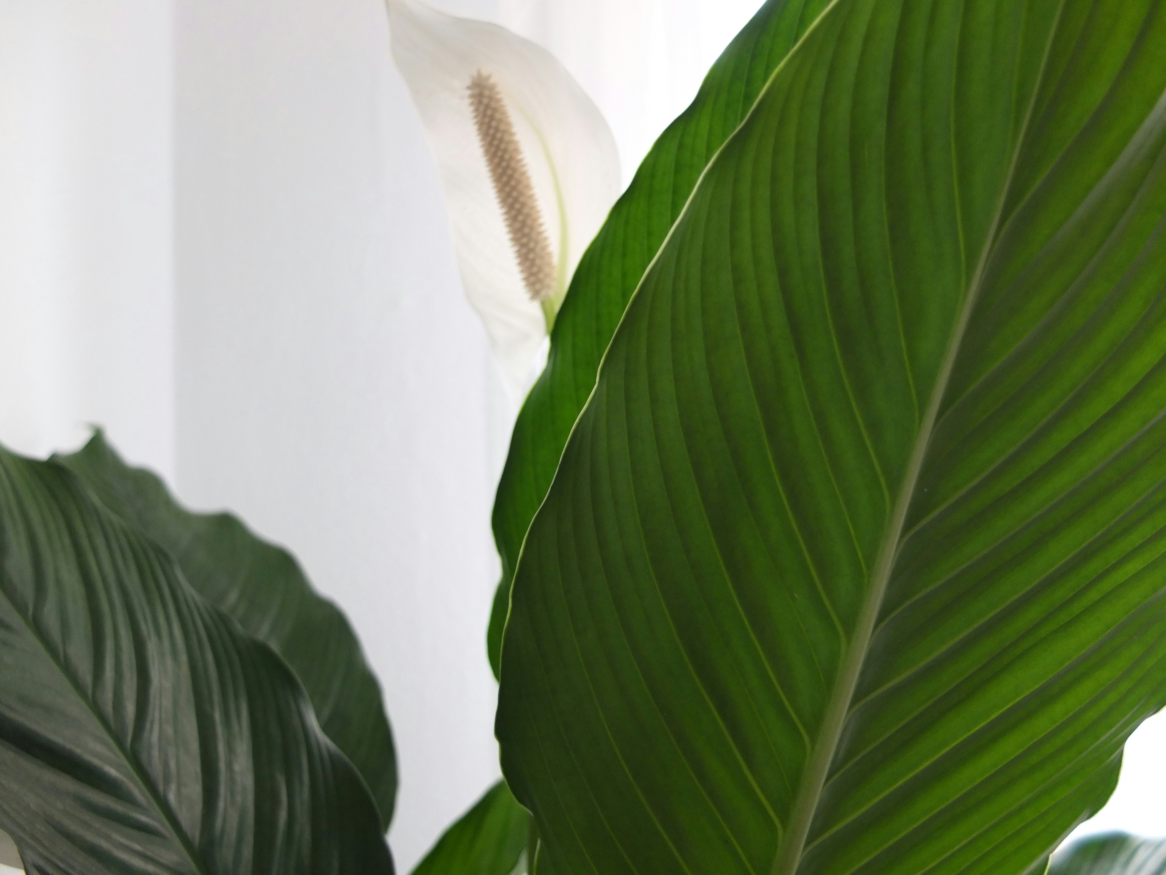 Photo by goddamnthesun