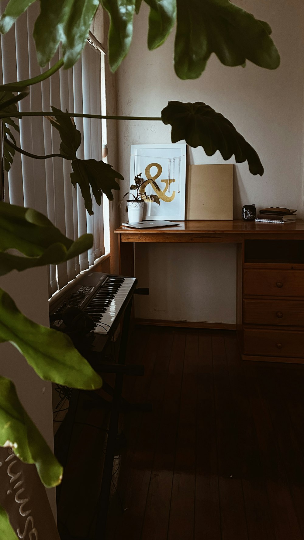 black and white electronic keyboard near green plant