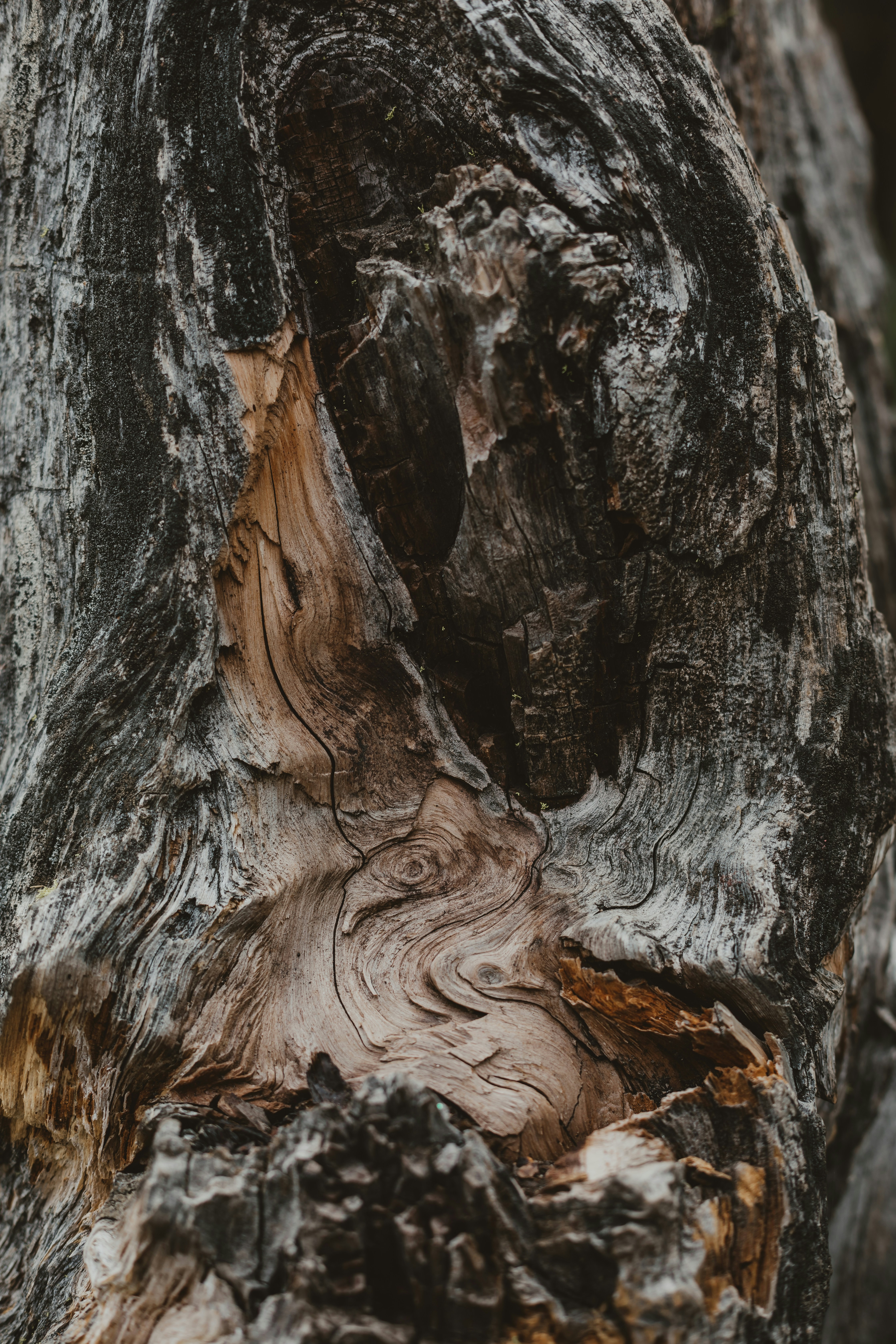 Photo by sixteenmilesout