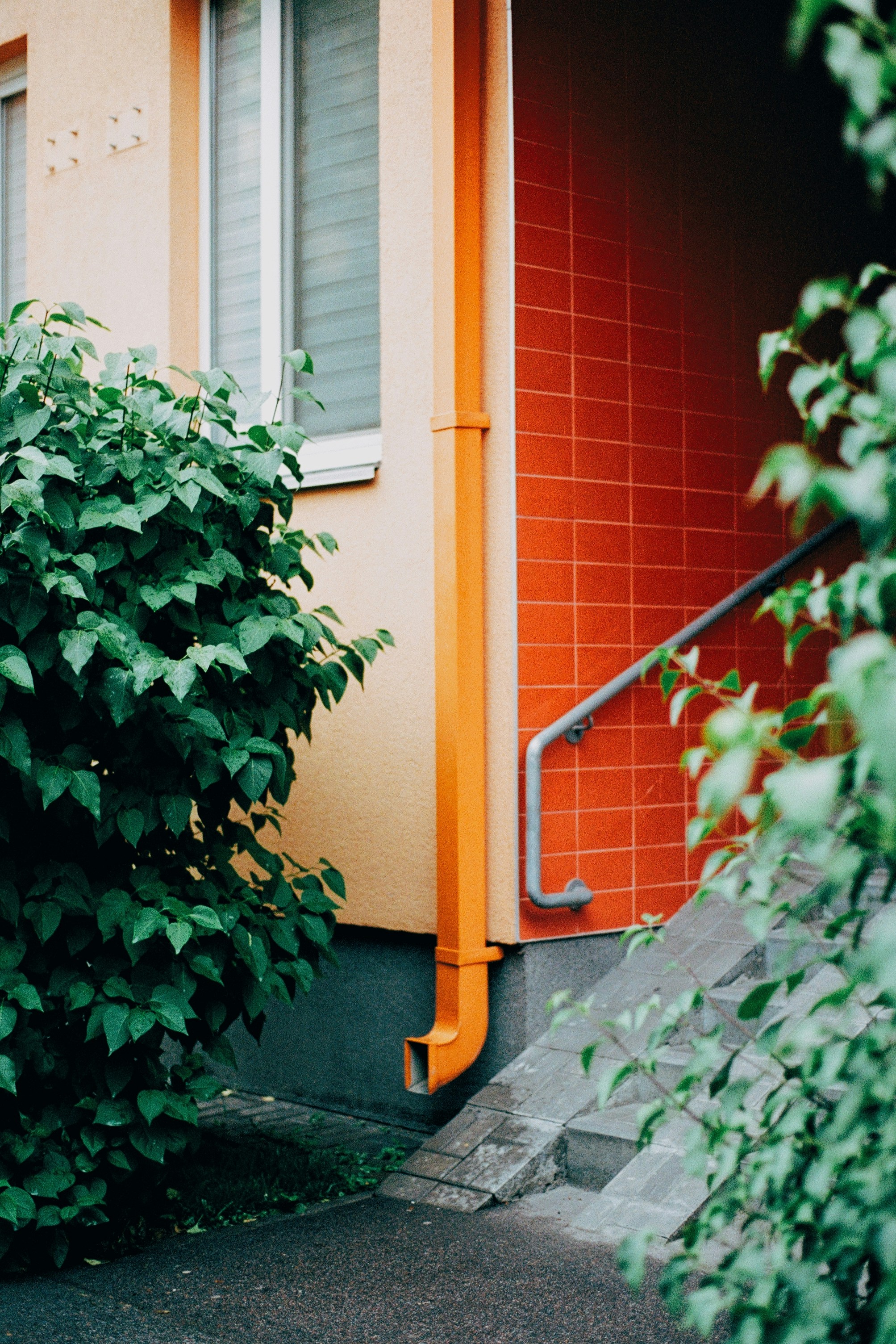 Photo by framesgoneby