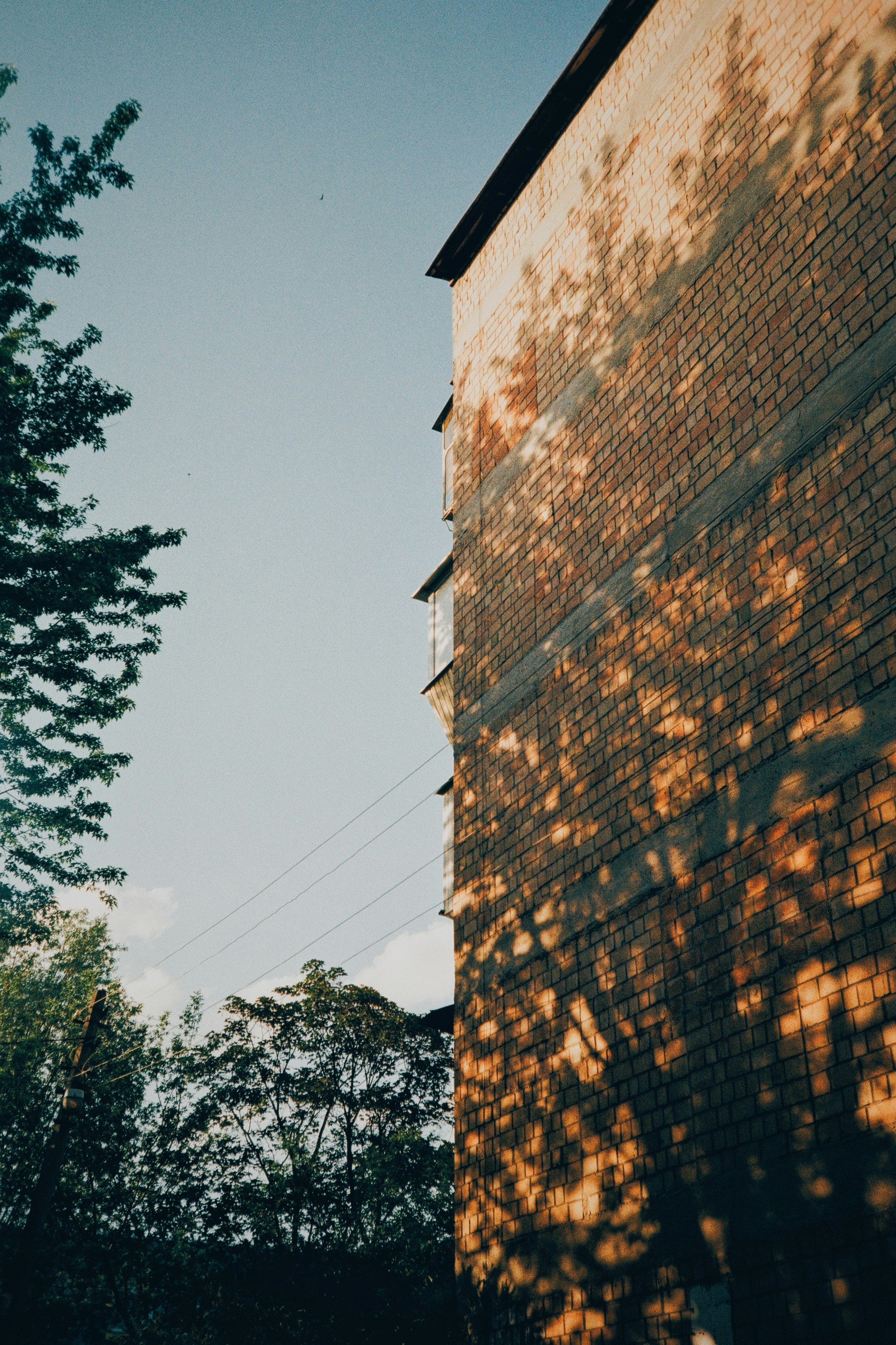 Photo by framesgoneby