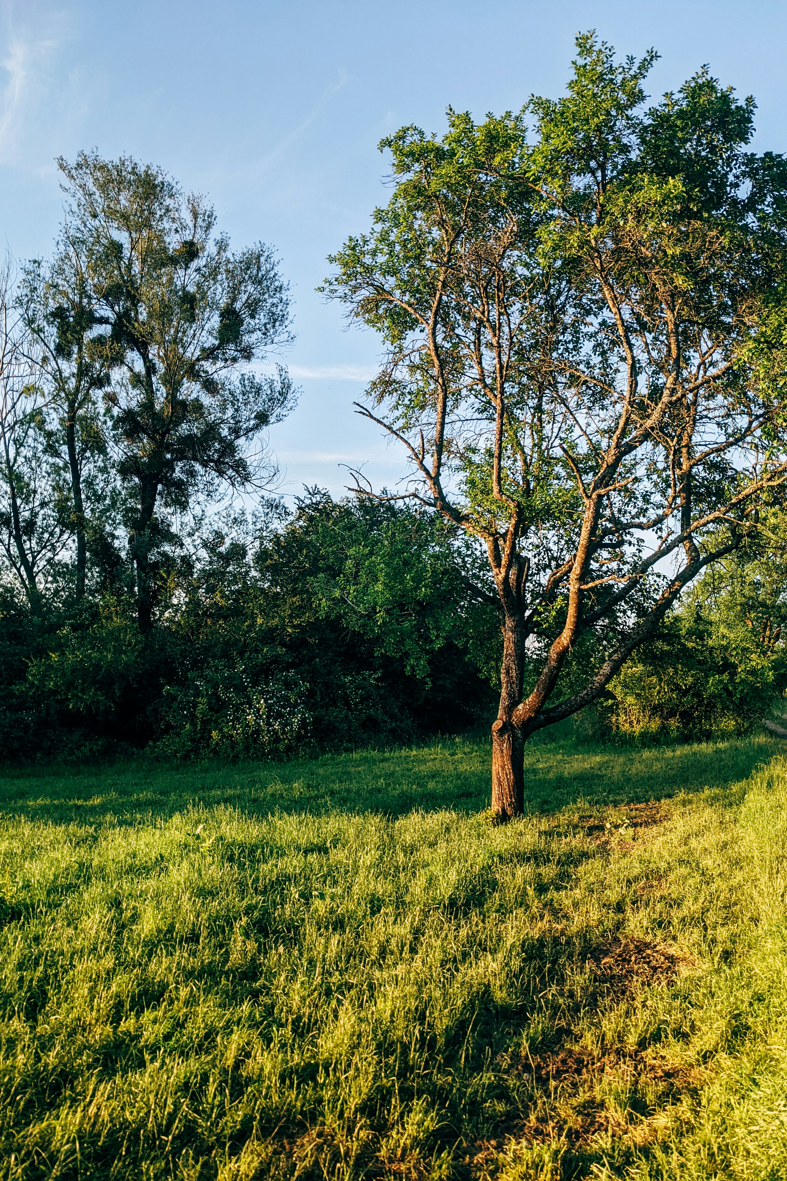 Photo by markuswinkler