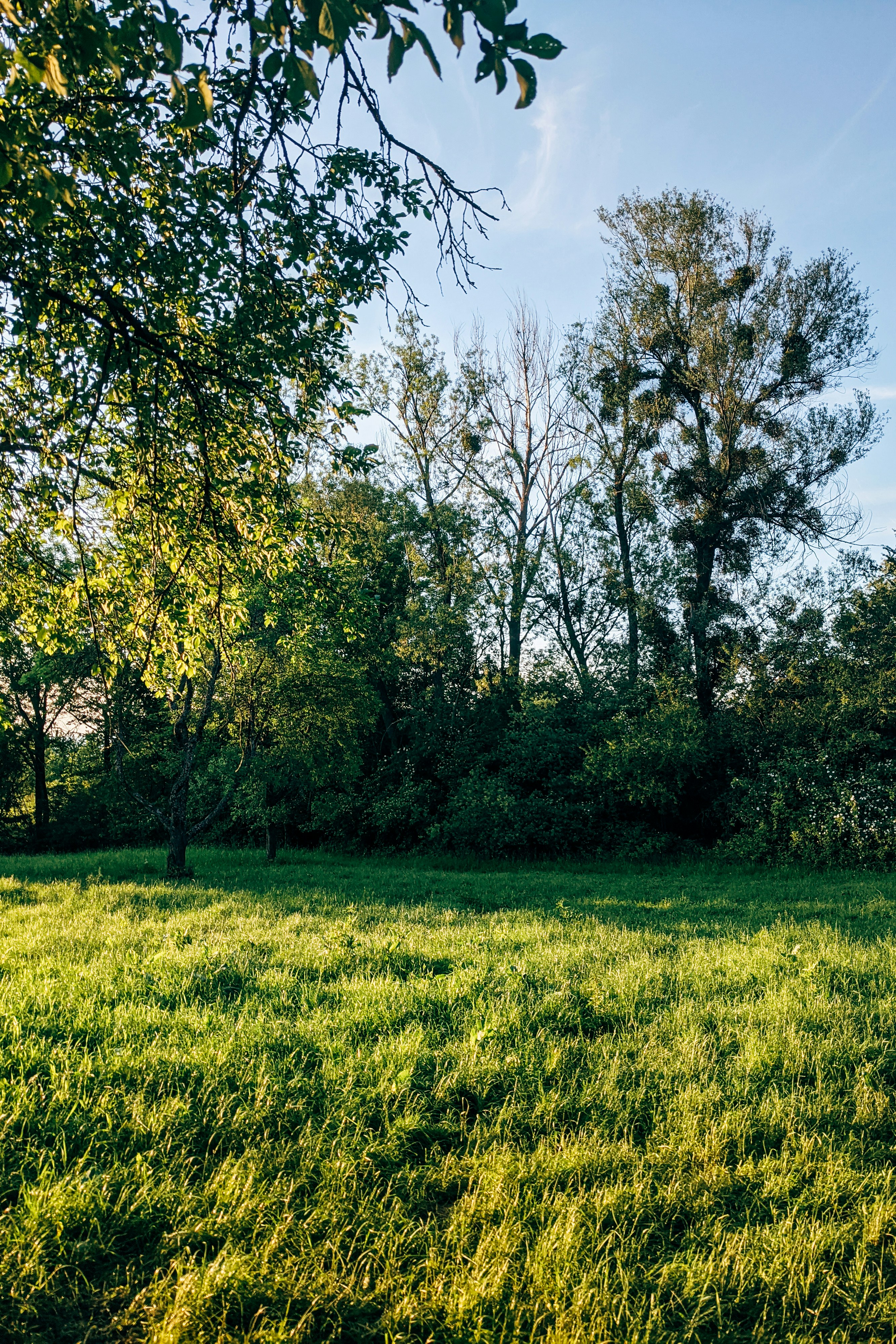 Photo by markuswinkler