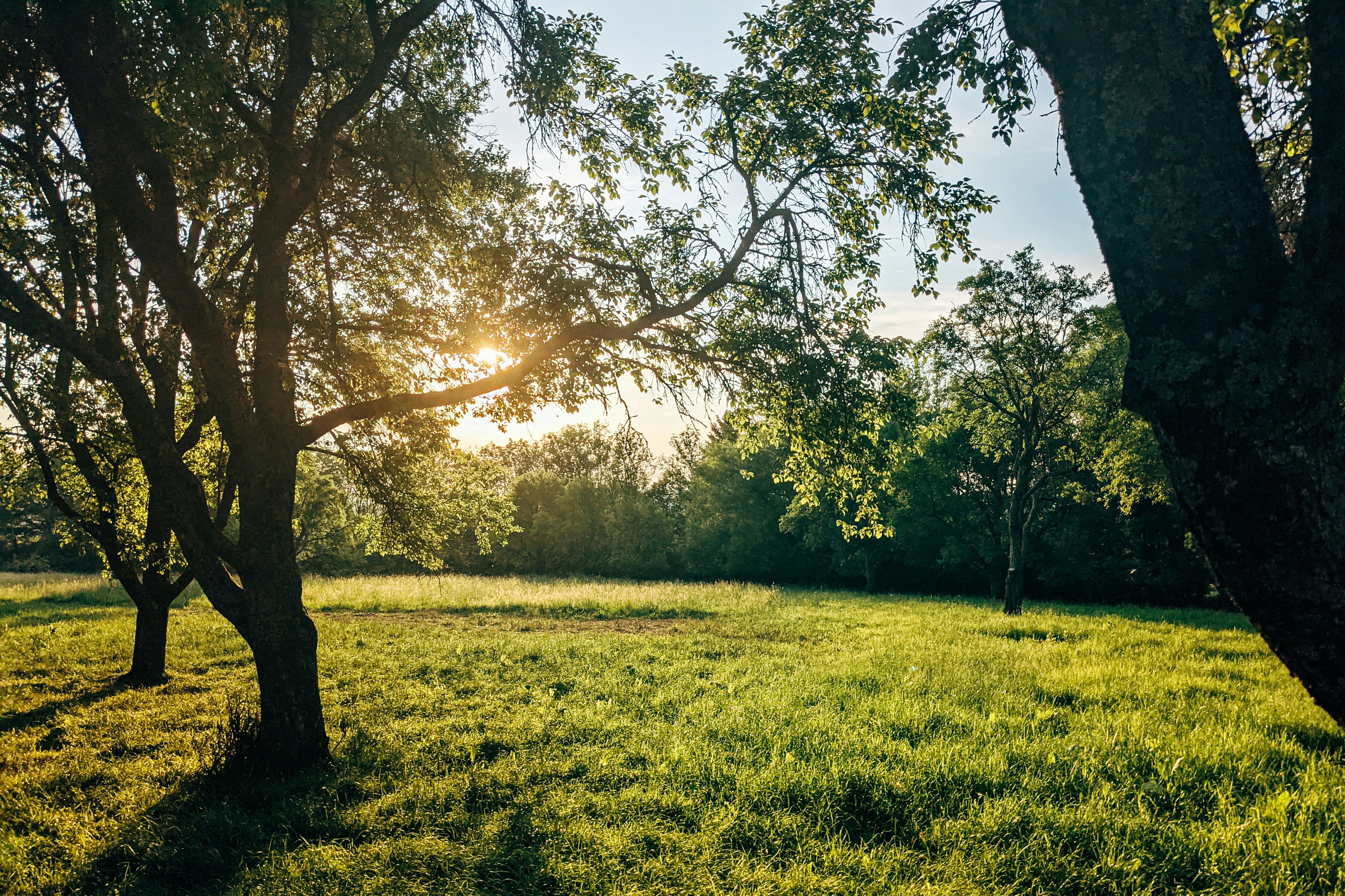 Photo by markuswinkler