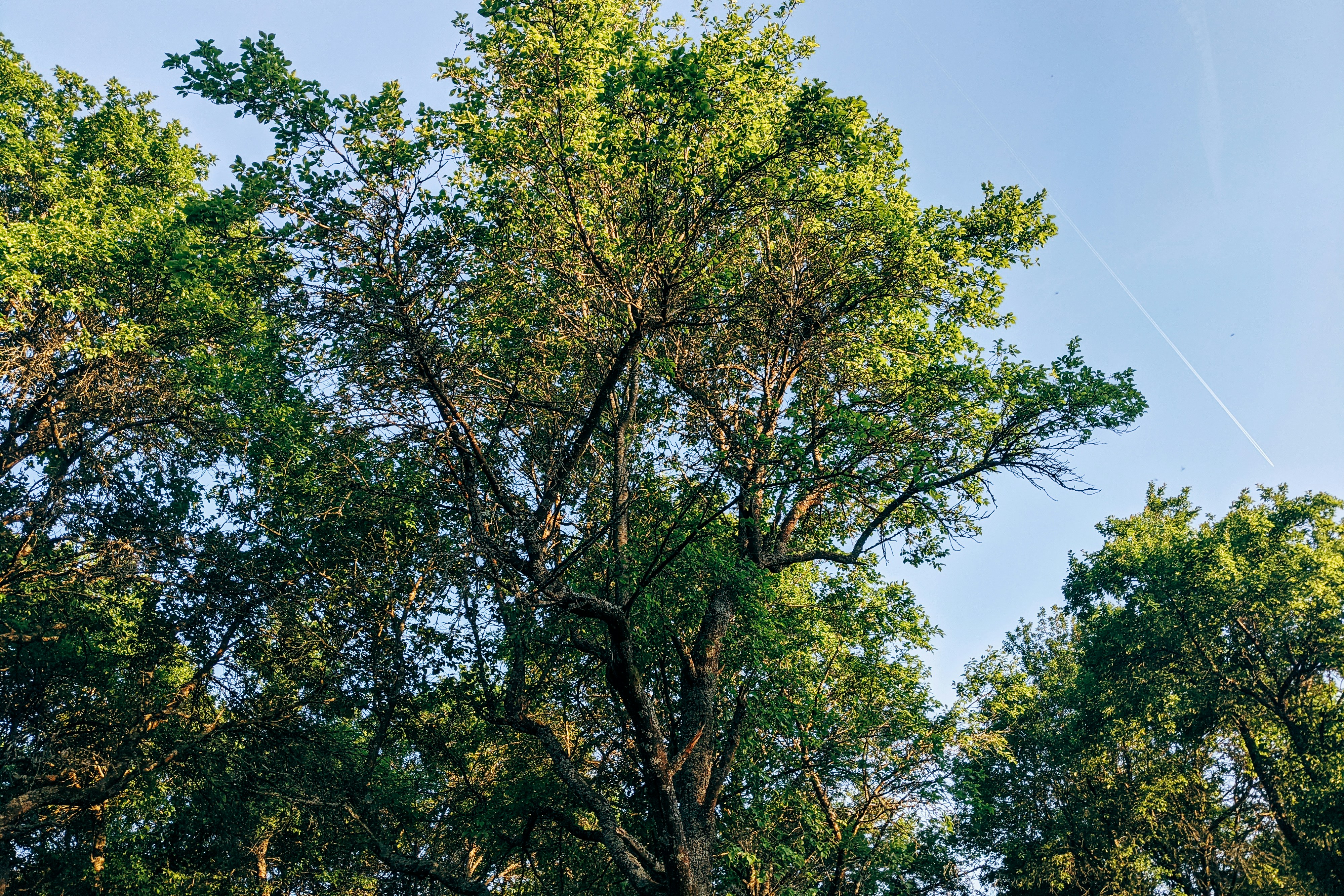 Photo by markuswinkler