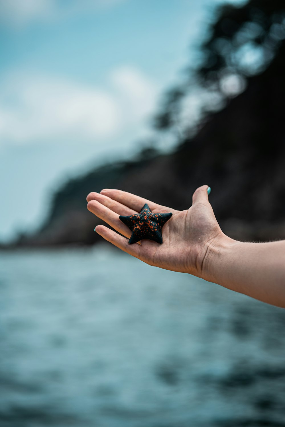 person holding black and white stone