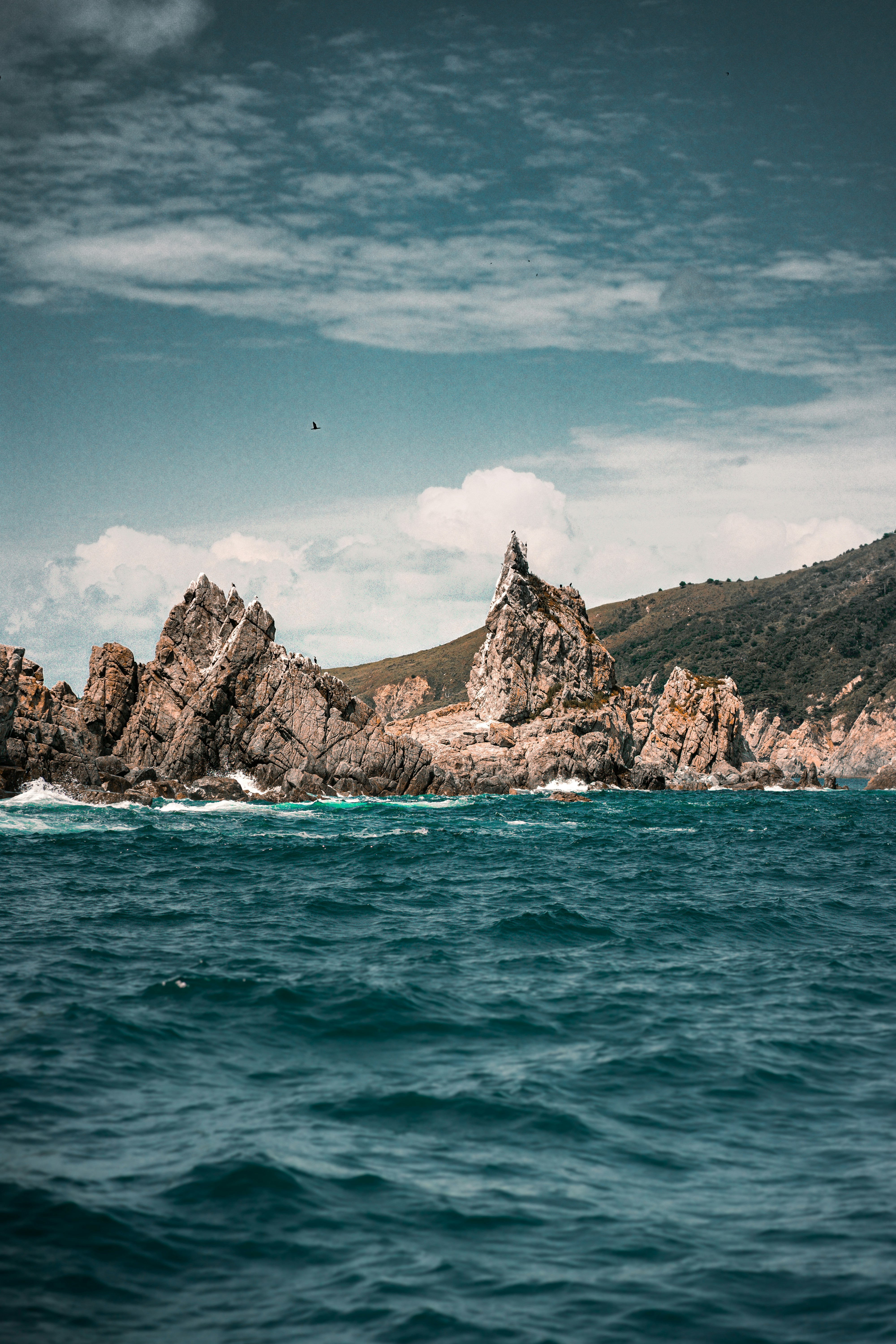 Photo by v_labushkin