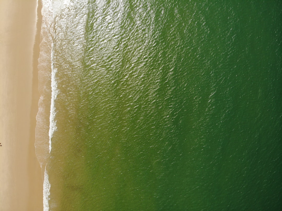 green body of water during daytime