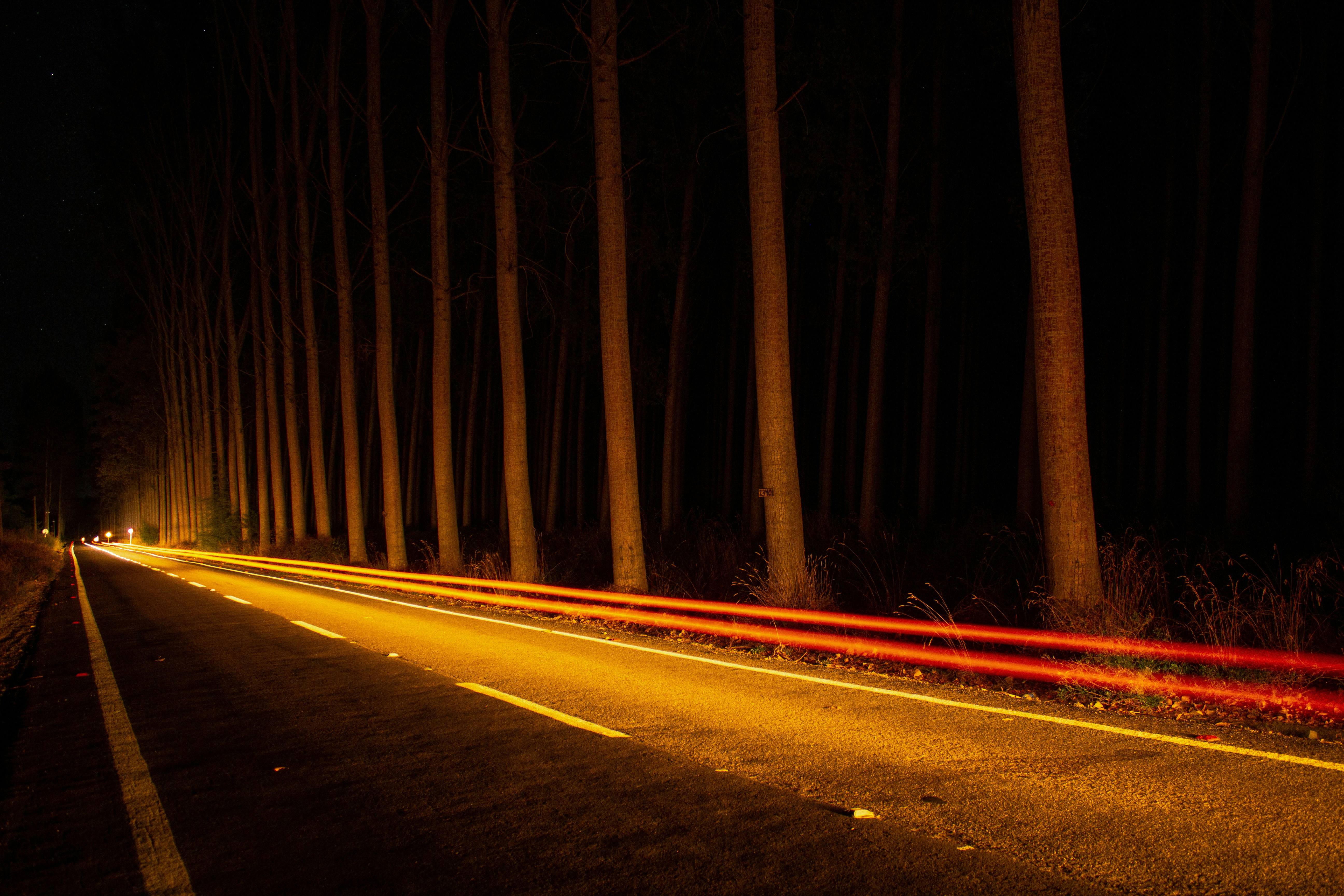 Photo by fotos_israel