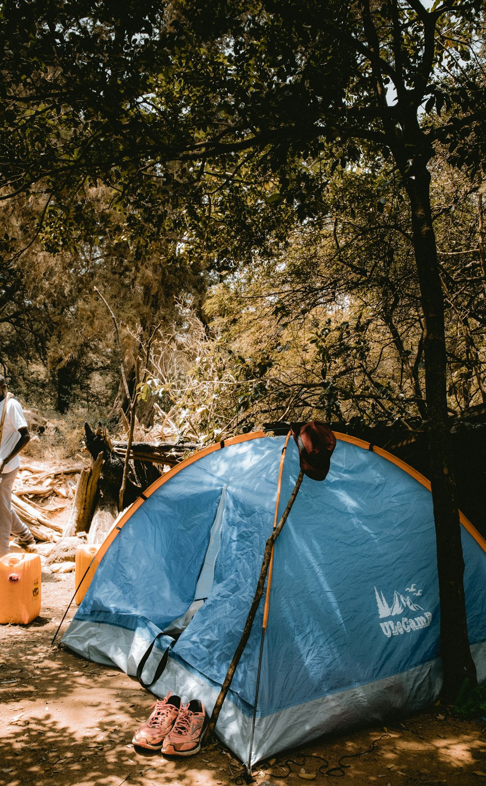 blue and orange tent near trees during daytime