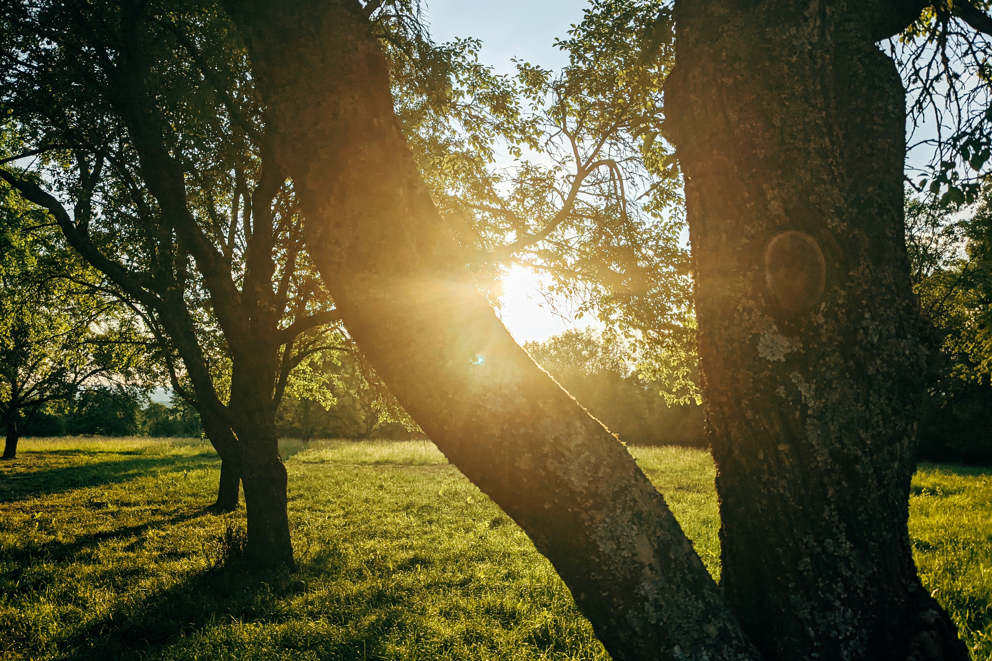 Photo by markuswinkler