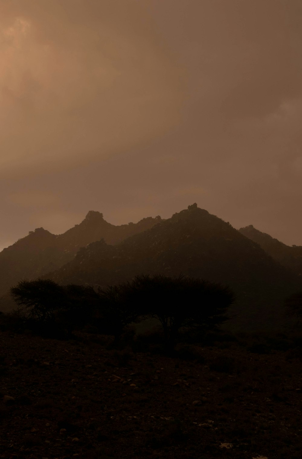 silhouette of trees and mountains during daytime