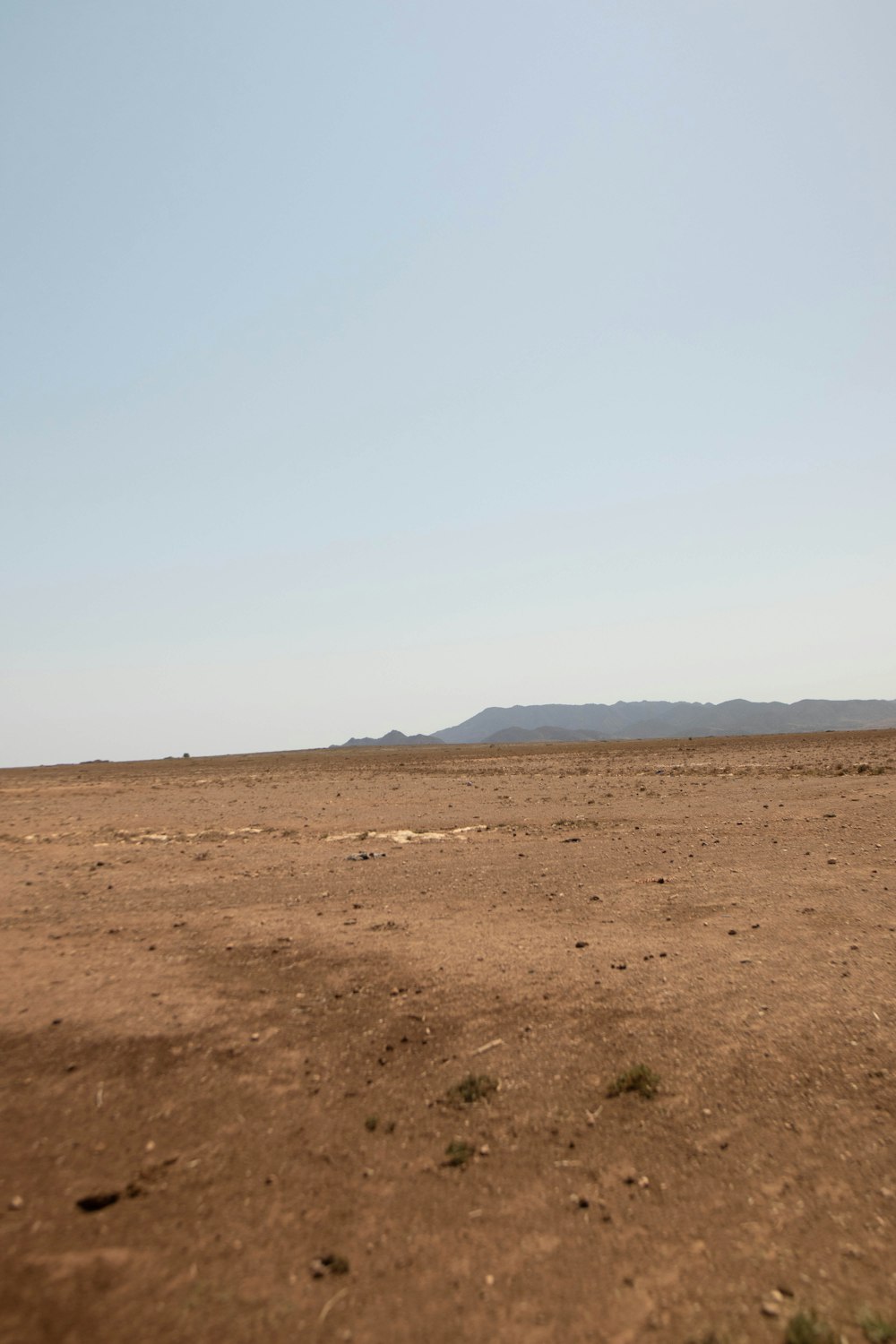 brown field under white sky during daytime