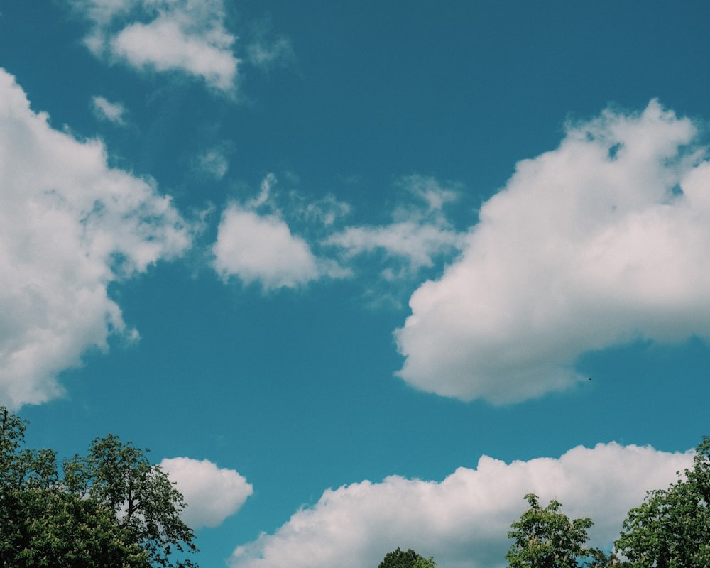 green trees under blue sky and white clouds during daytime