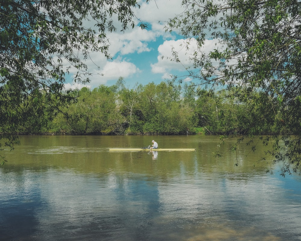 cygne blanc sur le lac entouré d’arbres verts pendant la journée