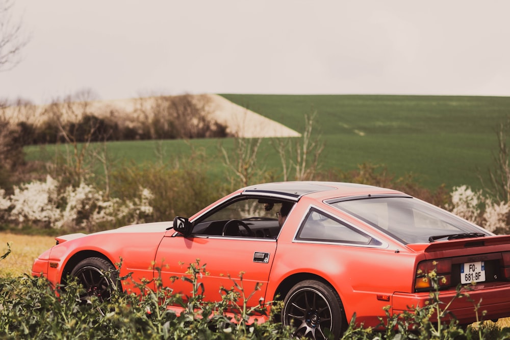 orange and black coupe on green grass field during daytime