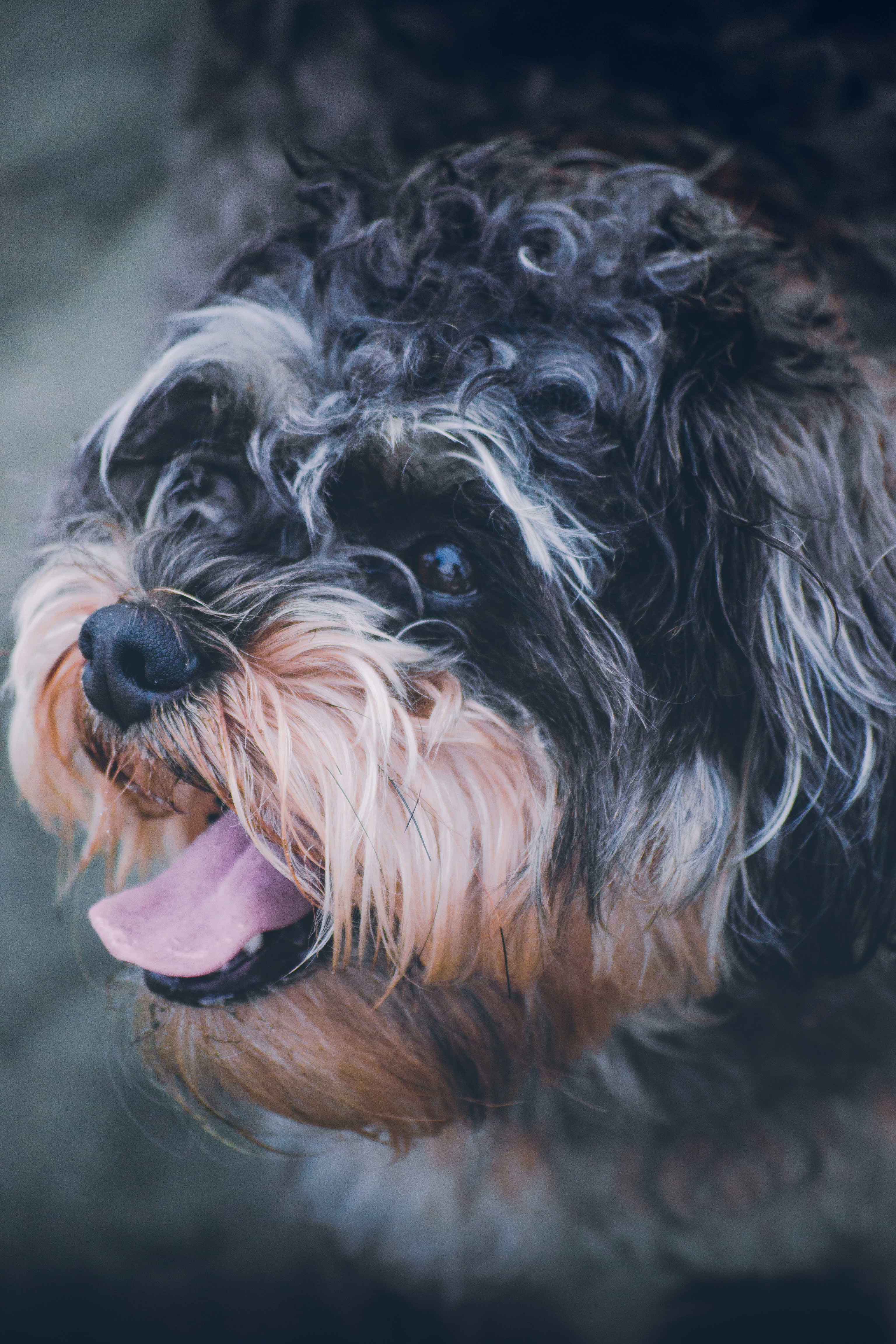 Photo by peterluo0113