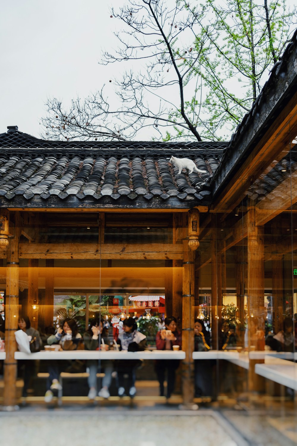 people standing and sitting on restaurant during daytime