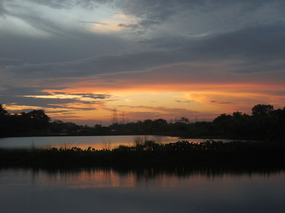 silhouette of trees near body of water during sunset