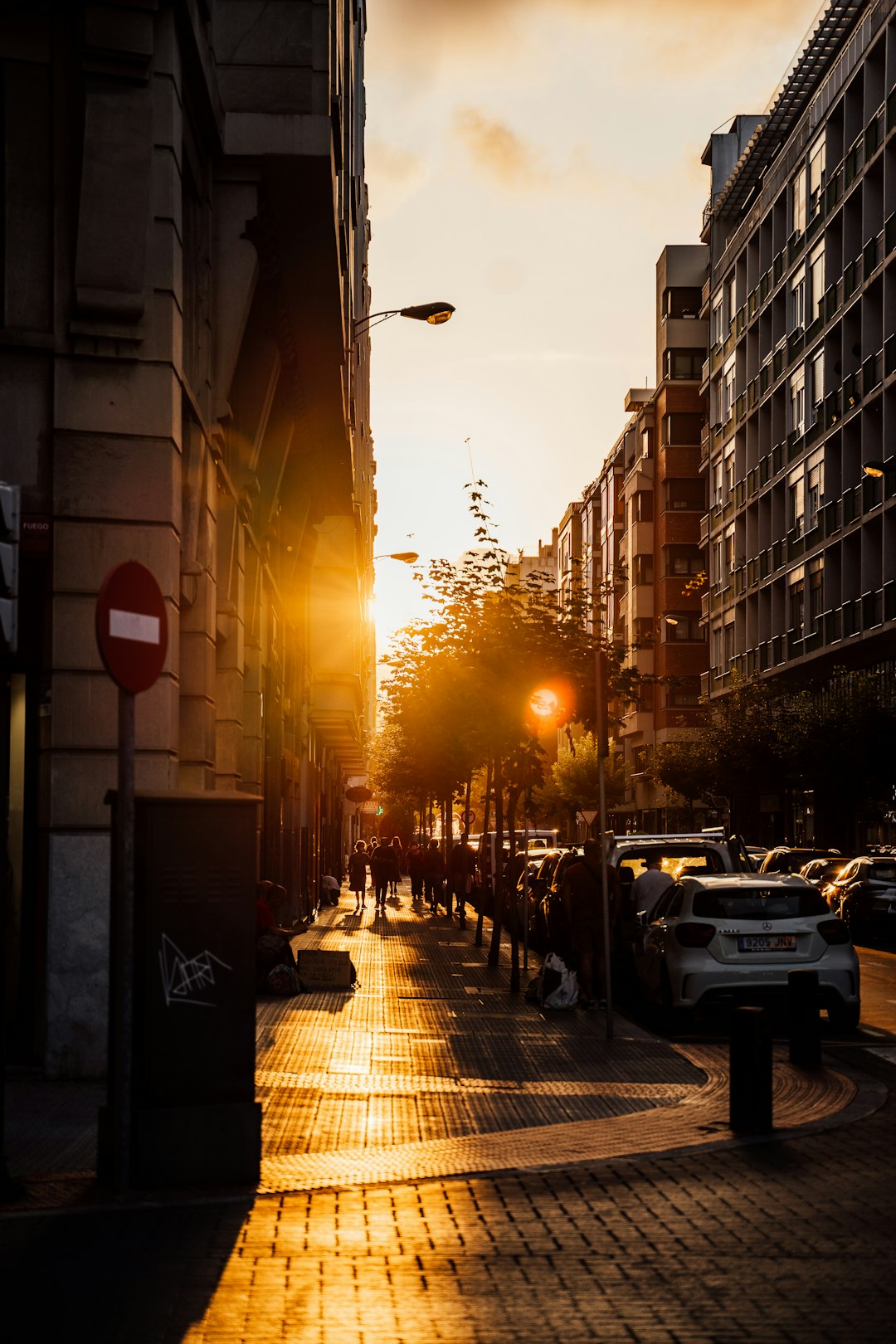 cars parked on sidewalk during sunset