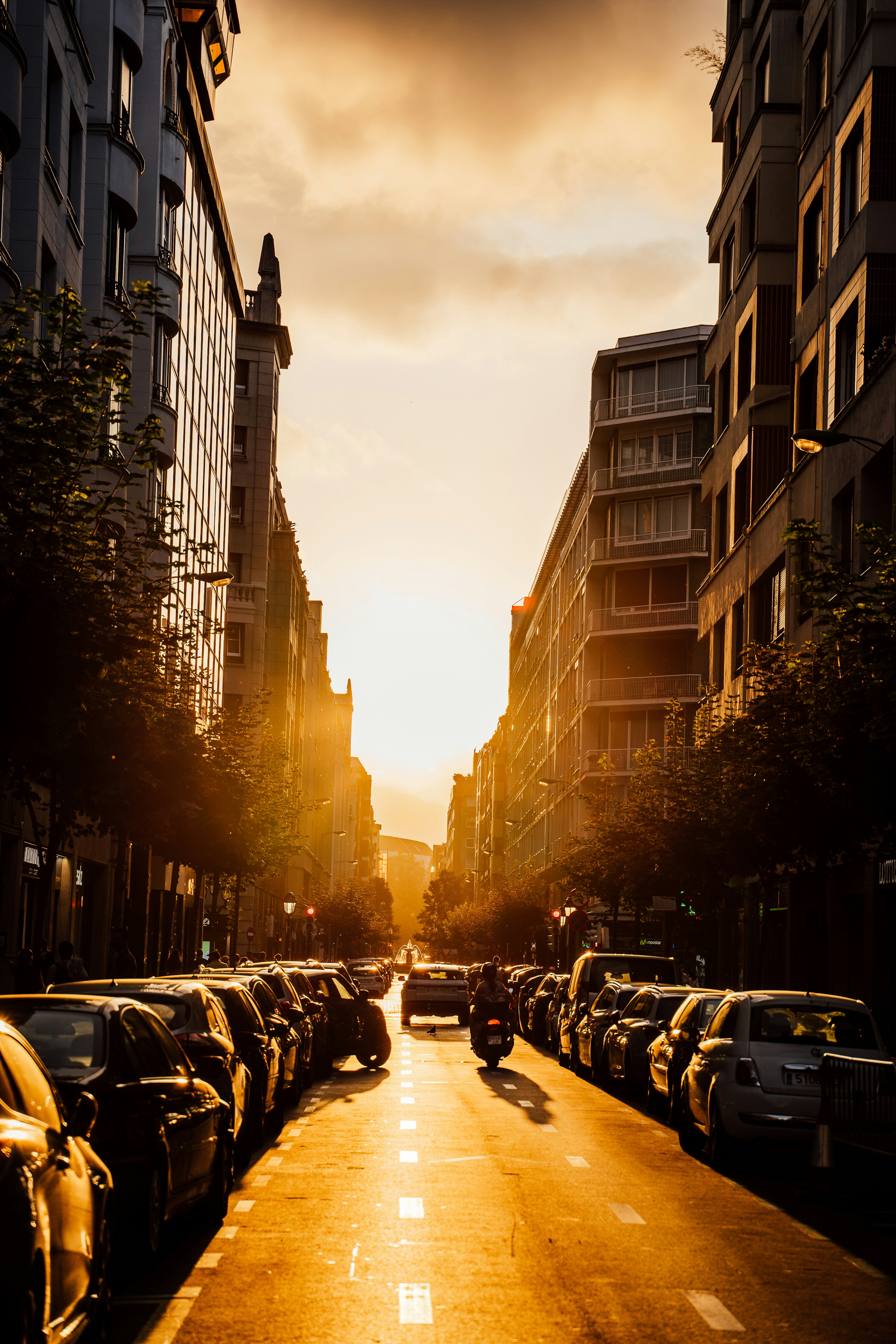 Photo by real_jansen