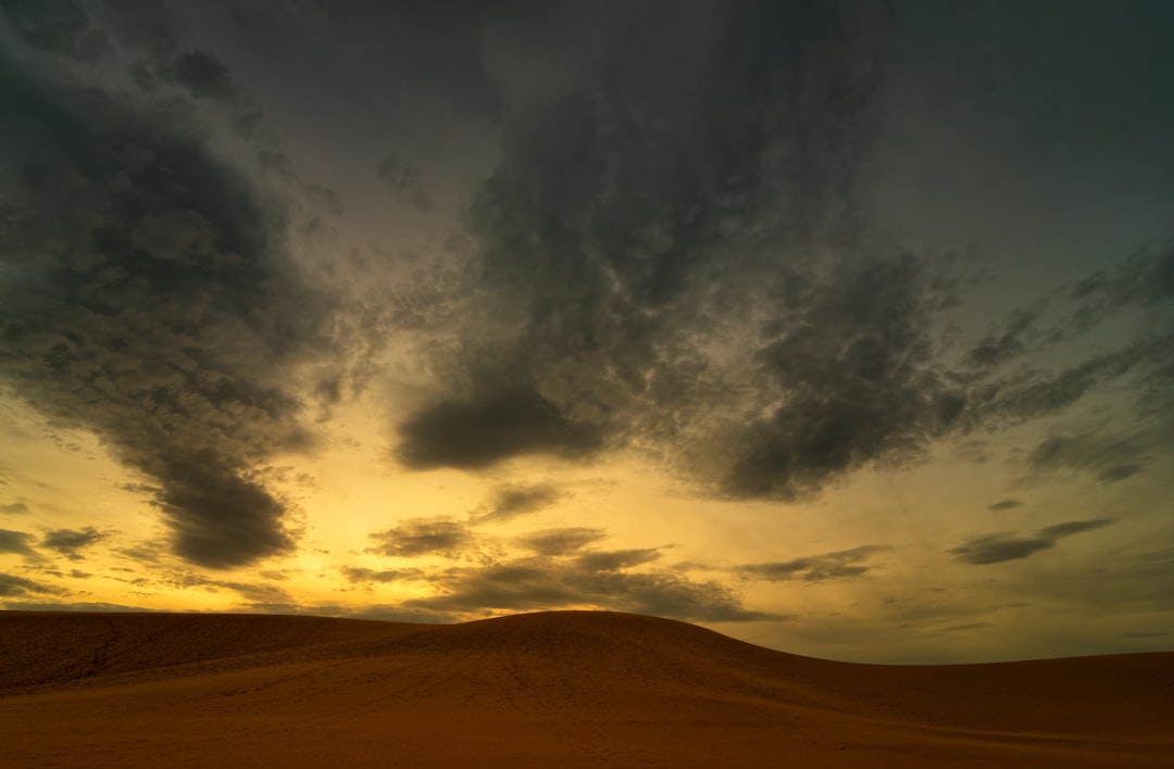 brown field under gray clouds