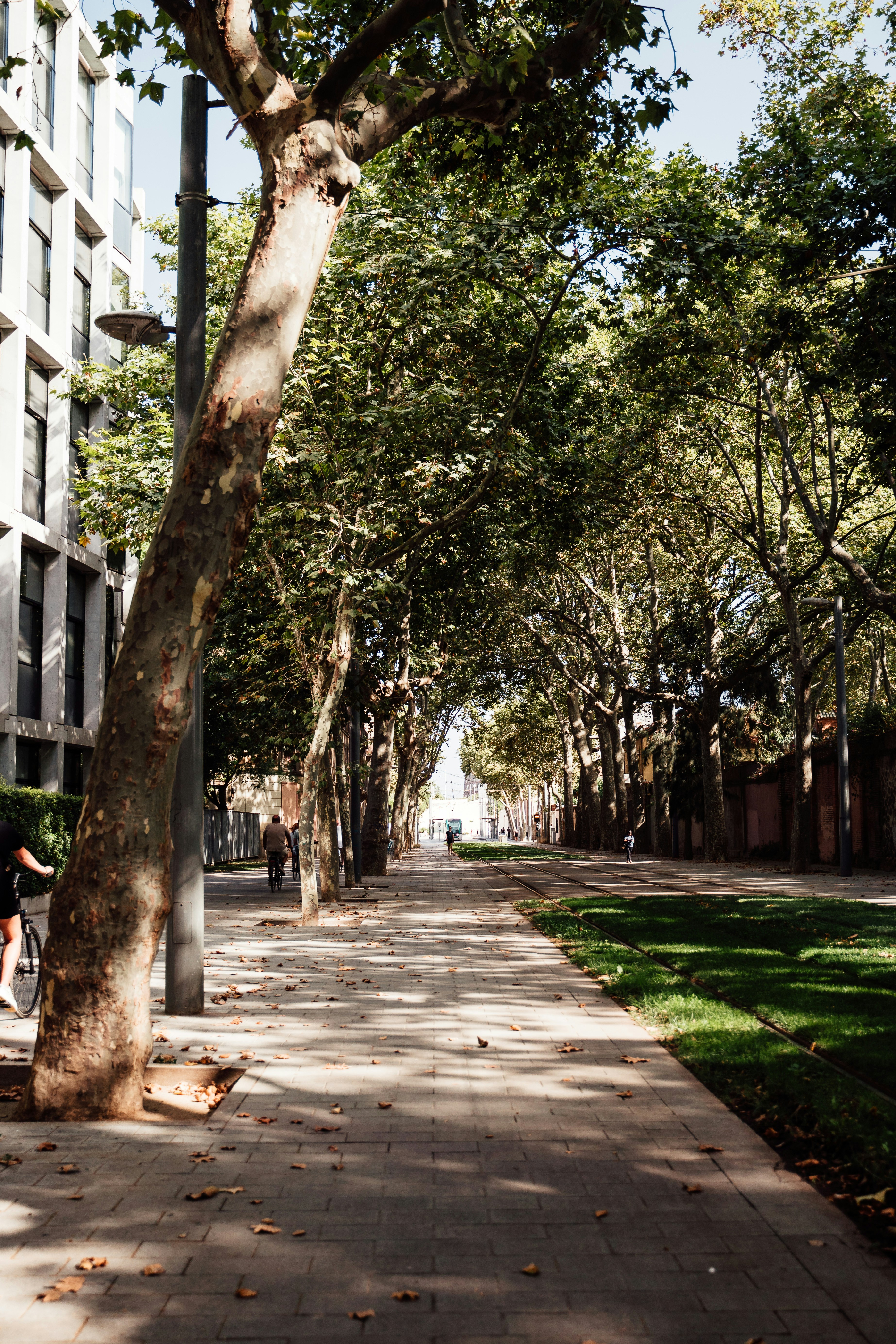 Photo by real_jansen