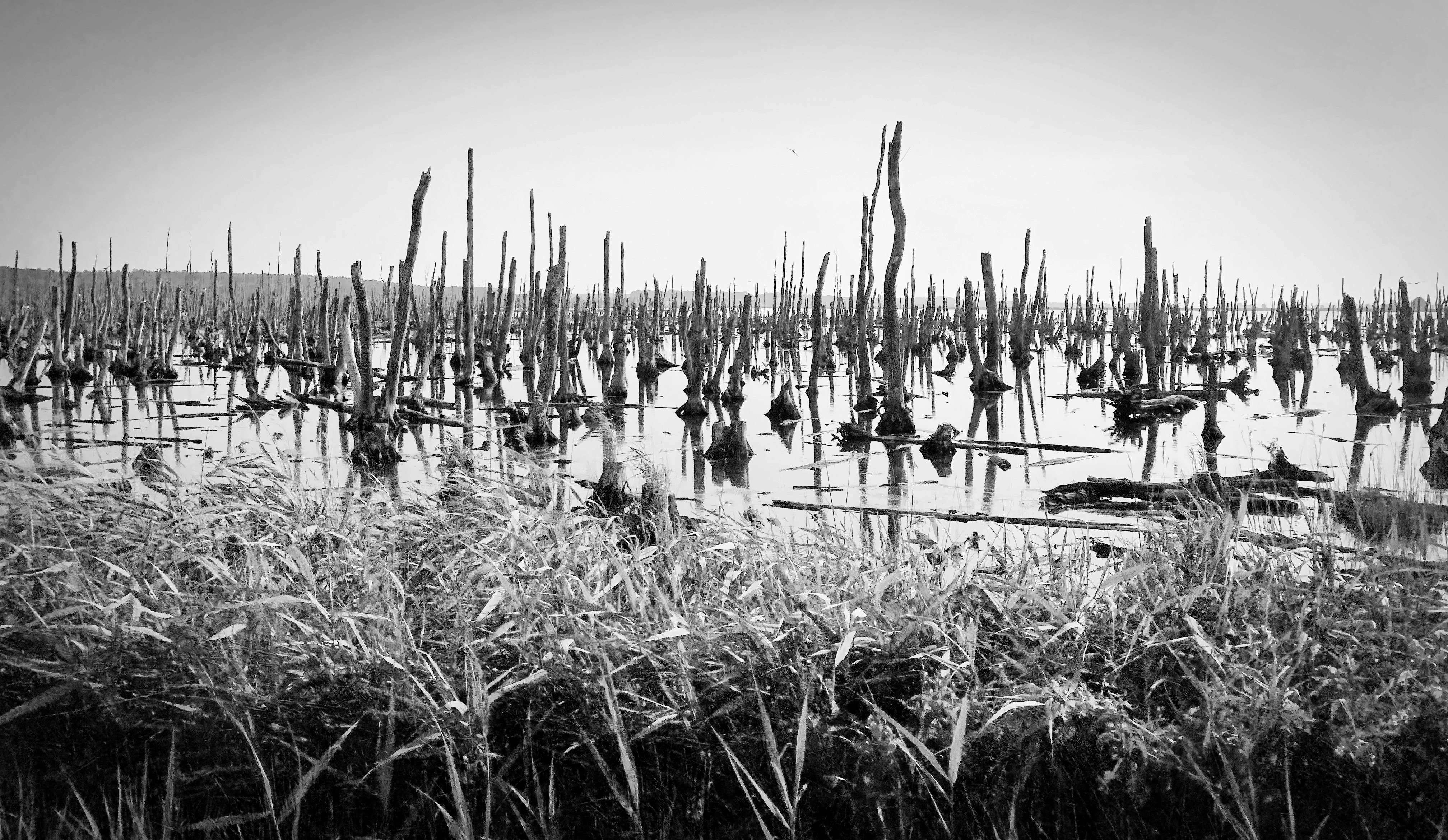 grayscale photo of people on boat