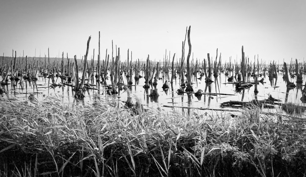 grayscale photo of people on boat